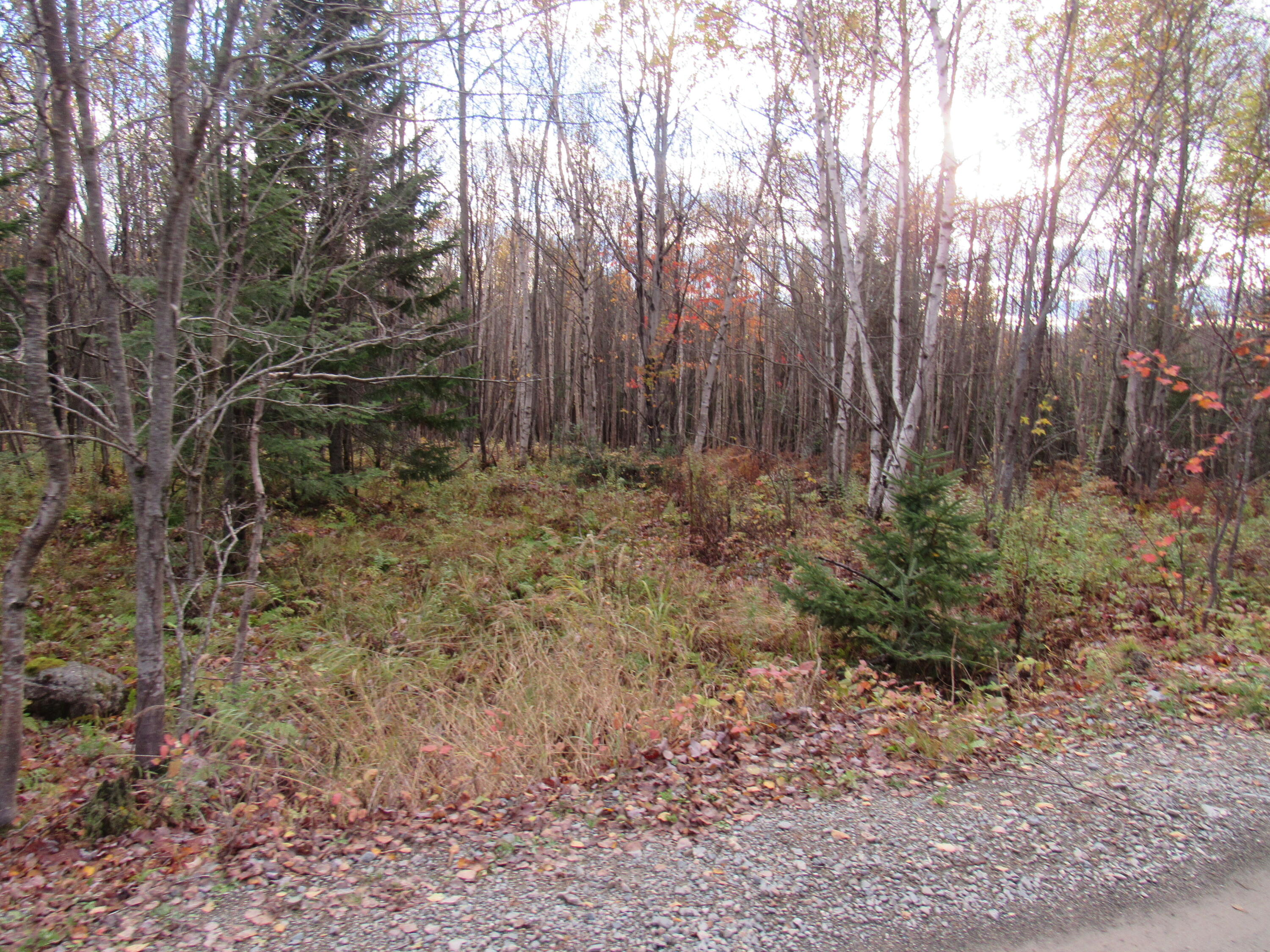Lot112 Larochelle Road West Forks, ME 04945 - Photo 8 of 12 IMG_7216