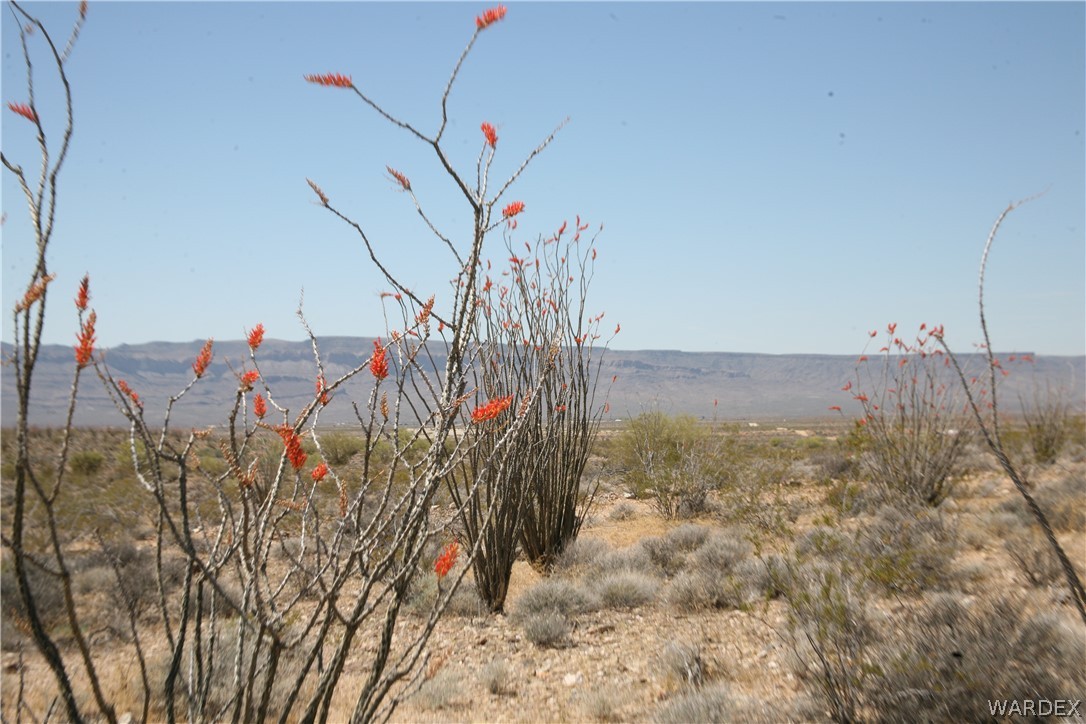 245-24-067a Lorton Road Yucca, AZ 86438 - Photo 37 of 42