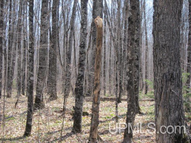 Four 4 Corners Road Crystal Falls, MI 49920 - Photo 10 of 17