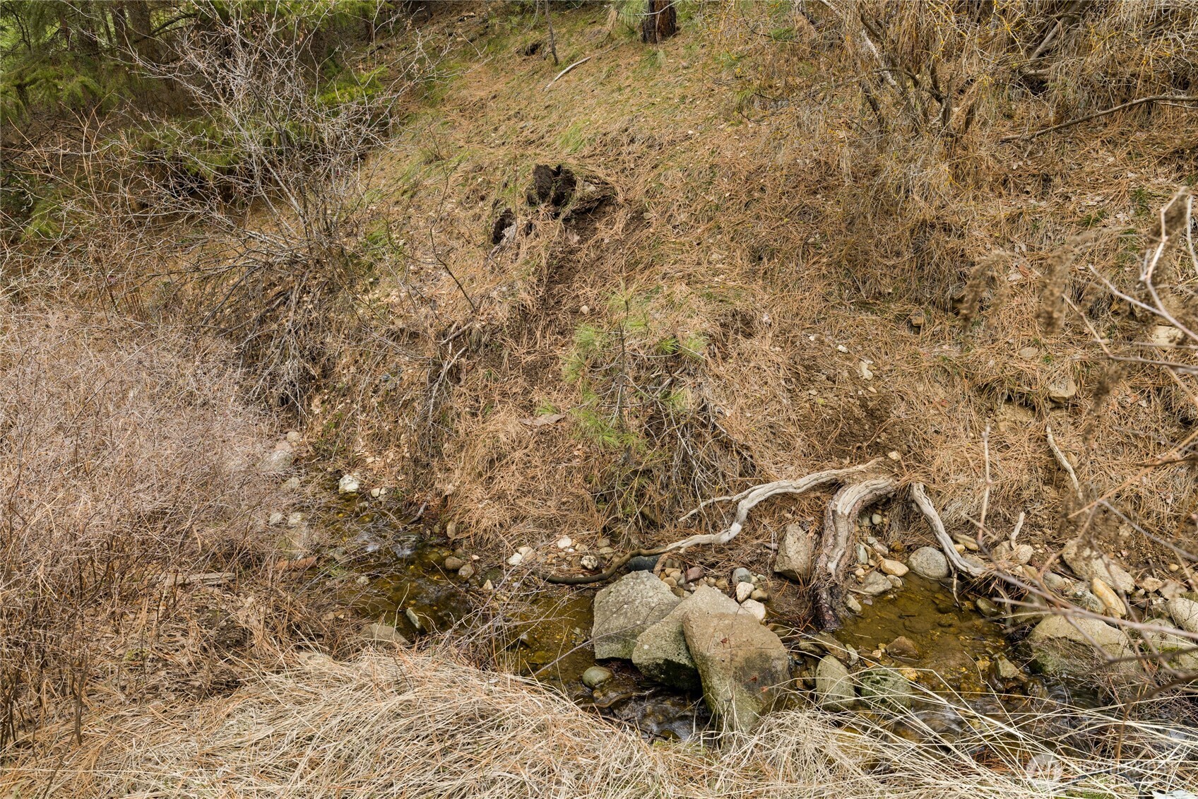 131 Casassa Road Cle Elum, WA 98922 - Photo 32 of 40