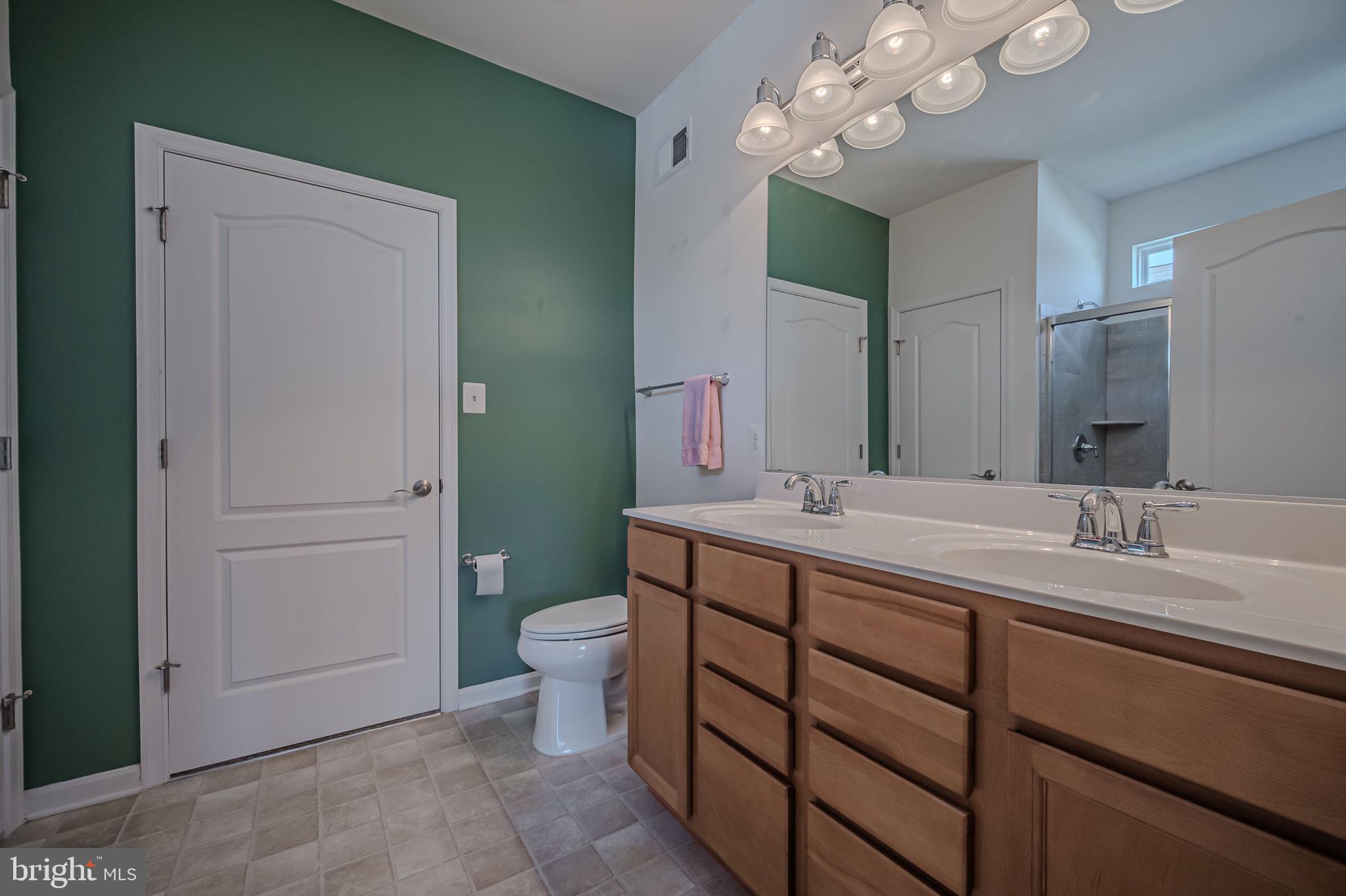 178 Silver Maple Road Middletown, DE 19709 - Photo 17 of 31 Primary Bath