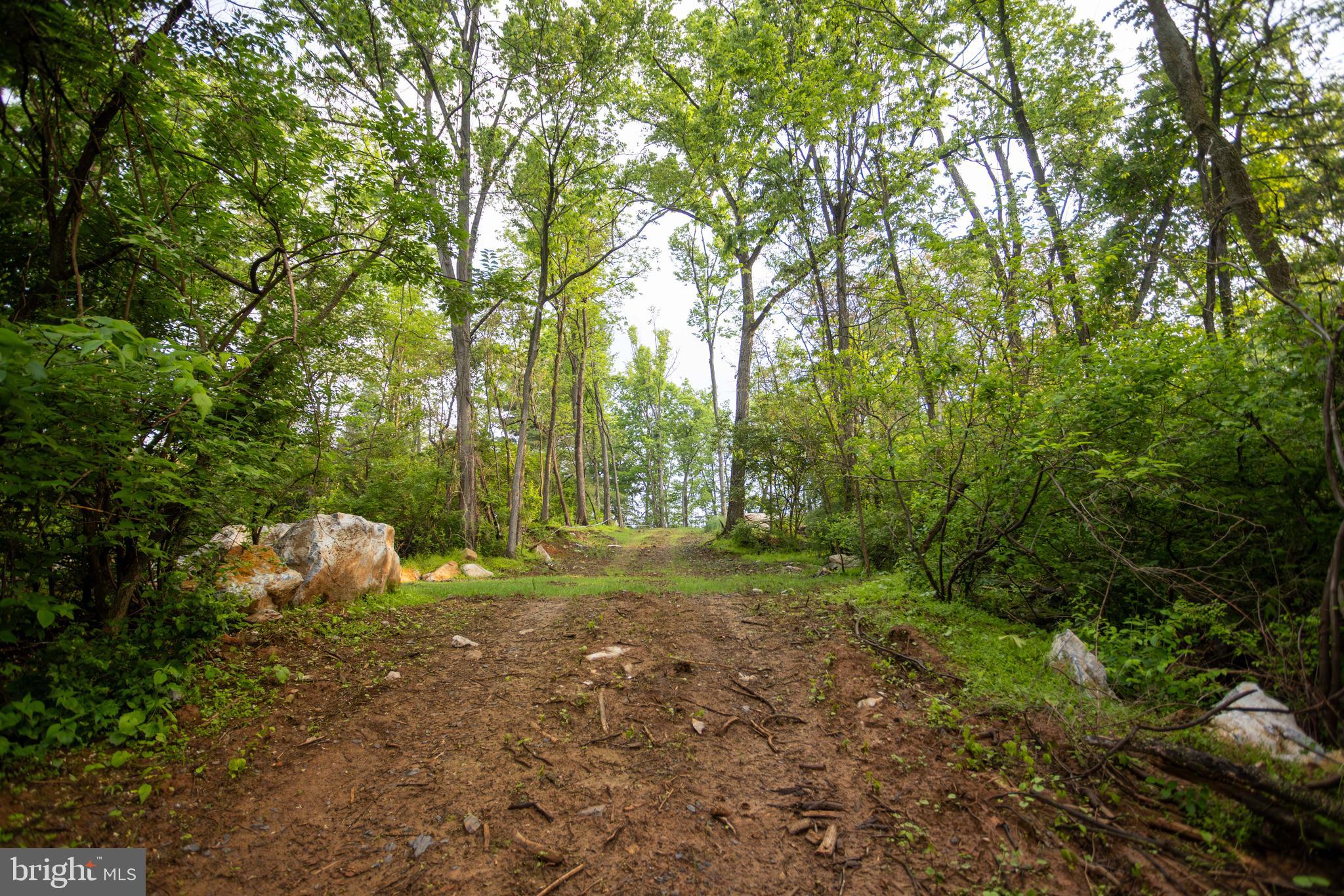 28 Richland Road Carlisle, PA 17015 - Photo 11 of 30 a view of a forest with trees