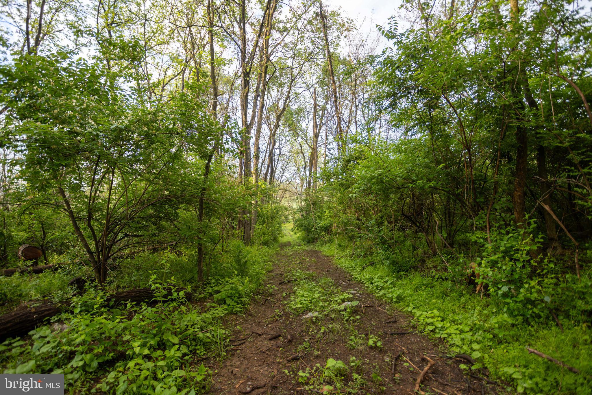 28 Richland Road Carlisle, PA 17015 - Photo 12 of 30 a view of a forest with lots of trees