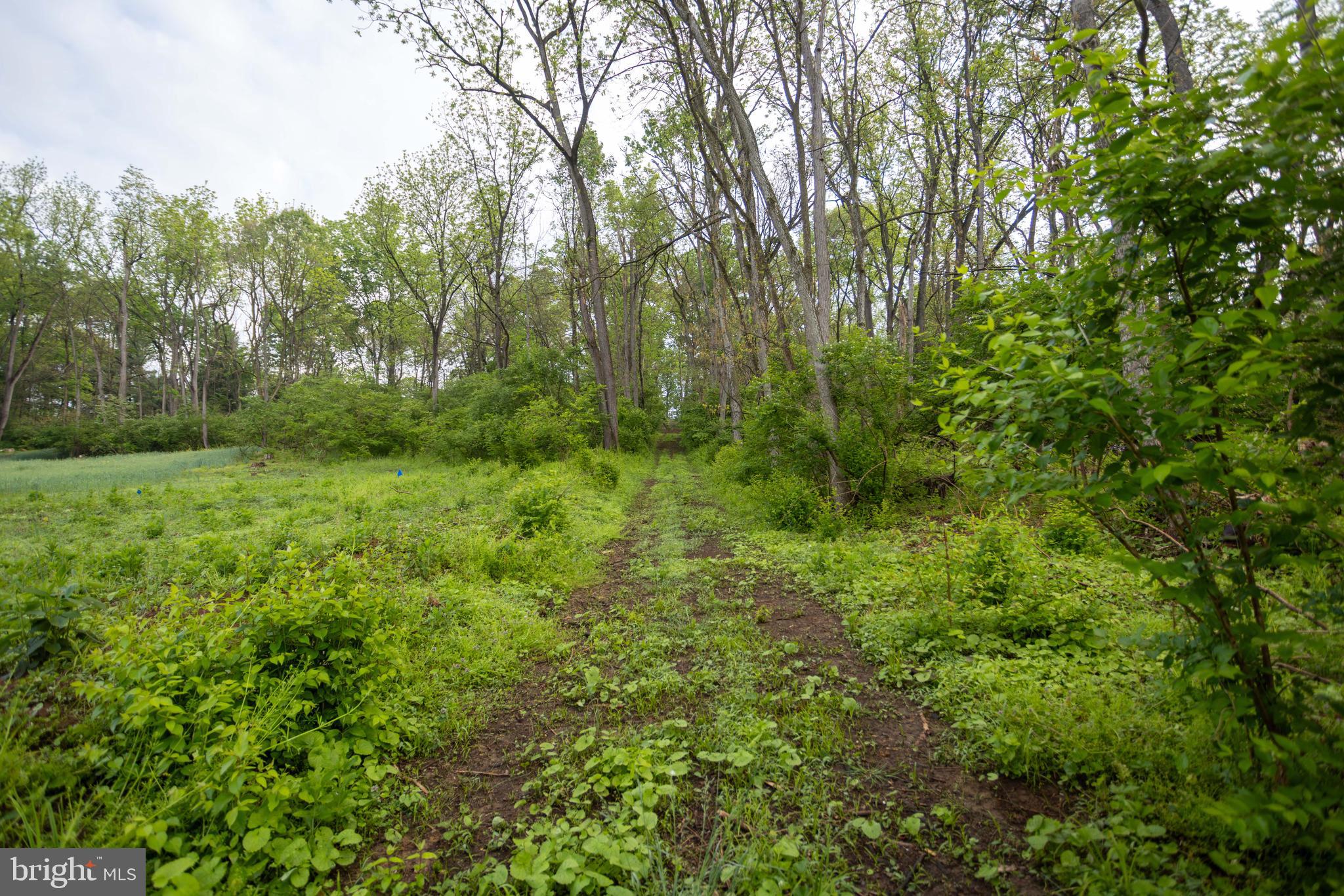 28 Richland Road Carlisle, PA 17015 - Photo 13 of 30 a view of a lush green forest
