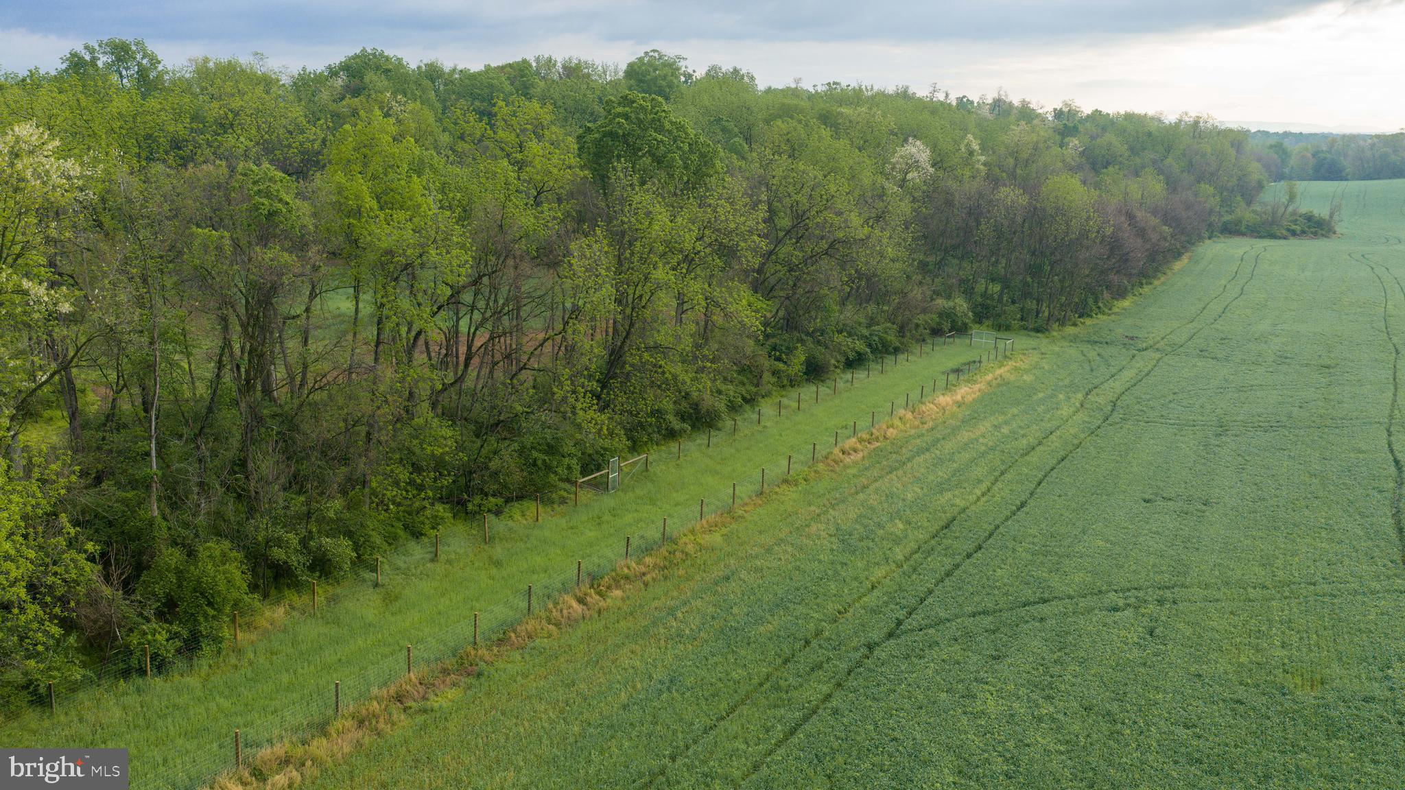 28 Richland Road Carlisle, PA 17015 - Photo 17 of 30 a view of a lush green forest with trees and some houses