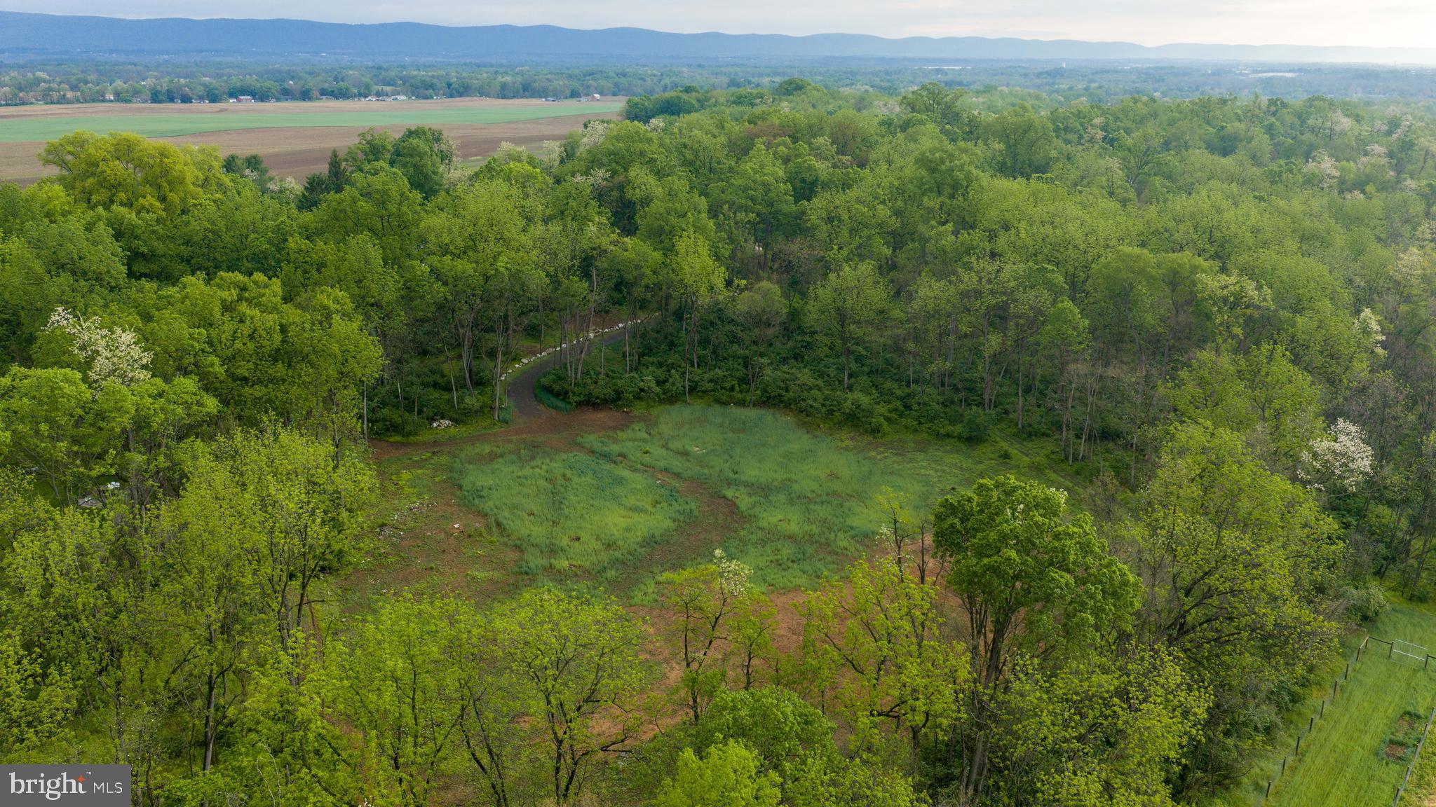 28 Richland Road Carlisle, PA 17015 - Photo 20 of 30 a view of a lush green forest with lots of trees