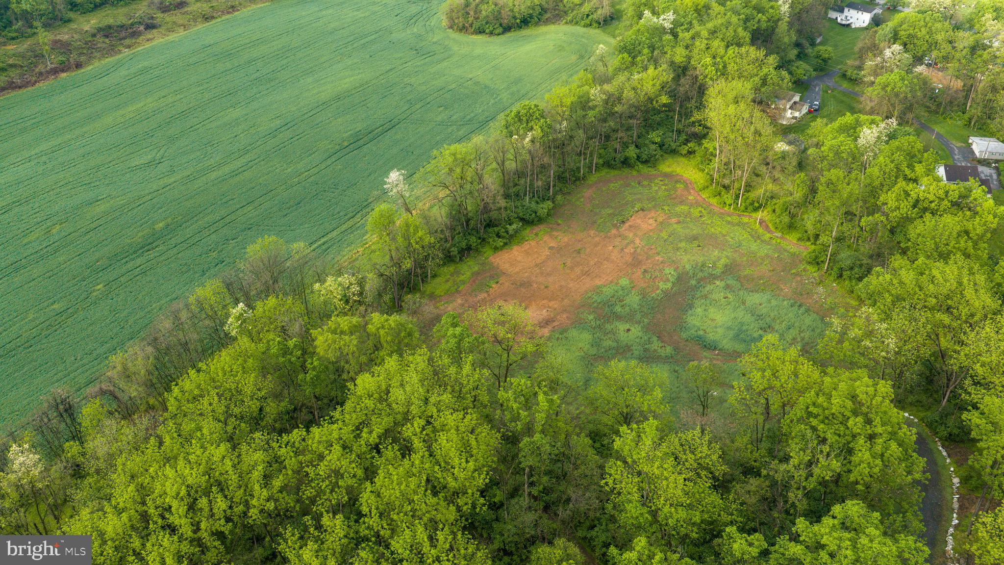 28 Richland Road Carlisle, PA 17015 - Photo 23 of 30 a view of a lush green space