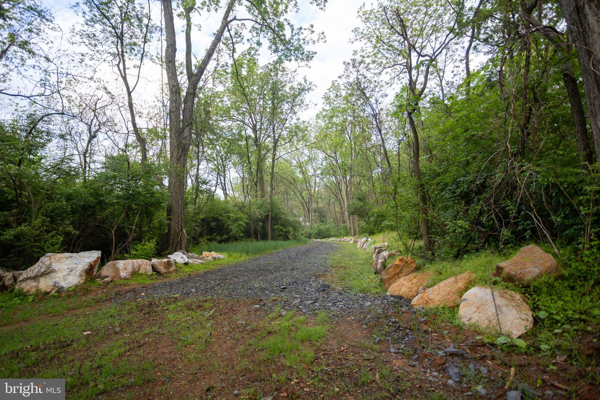 28 Richland Road Carlisle, PA 17015 - Photo 3 of 30 a view of a forest with trees
