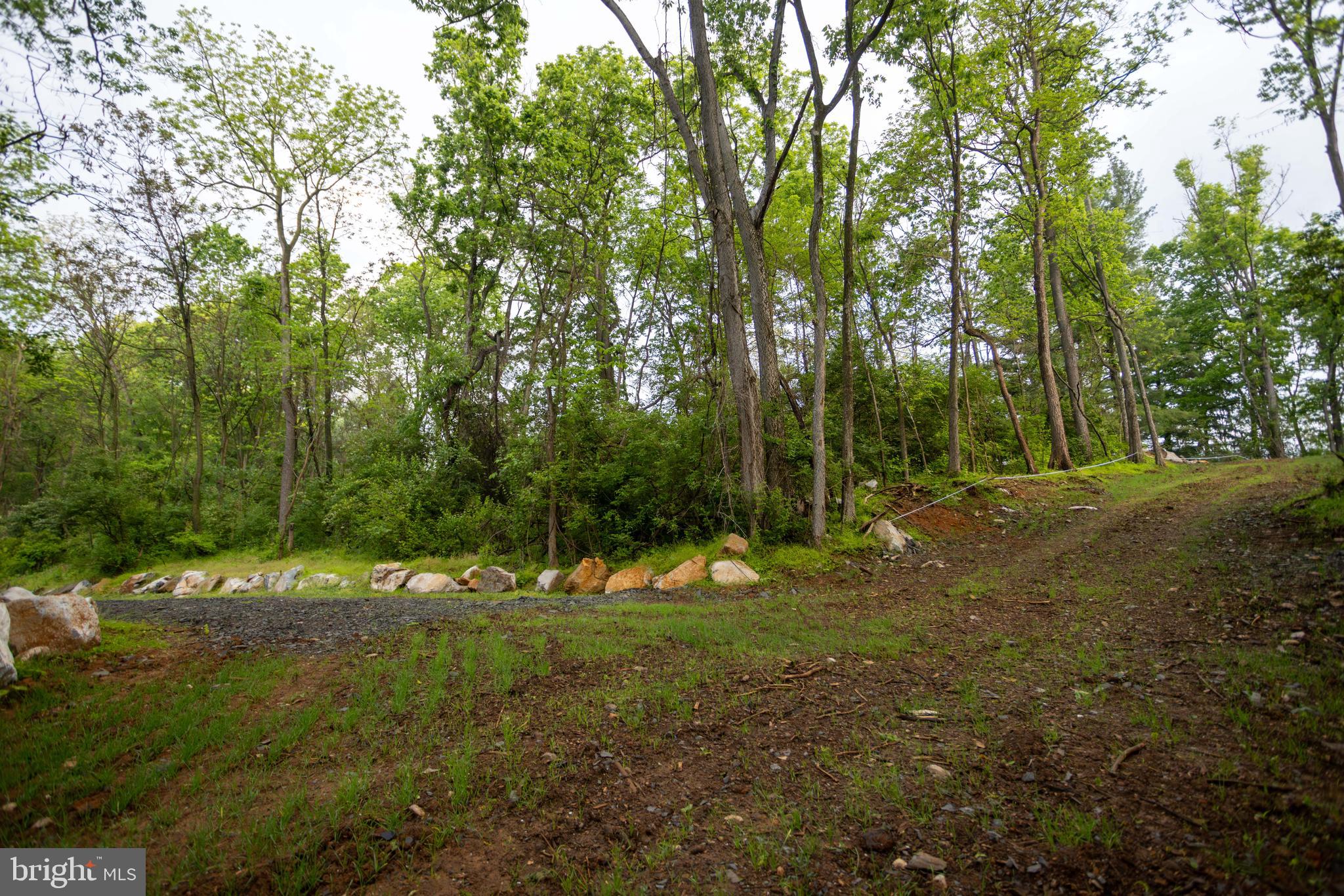 28 Richland Road Carlisle, PA 17015 - Photo 4 of 30 a view of outdoor space with green space