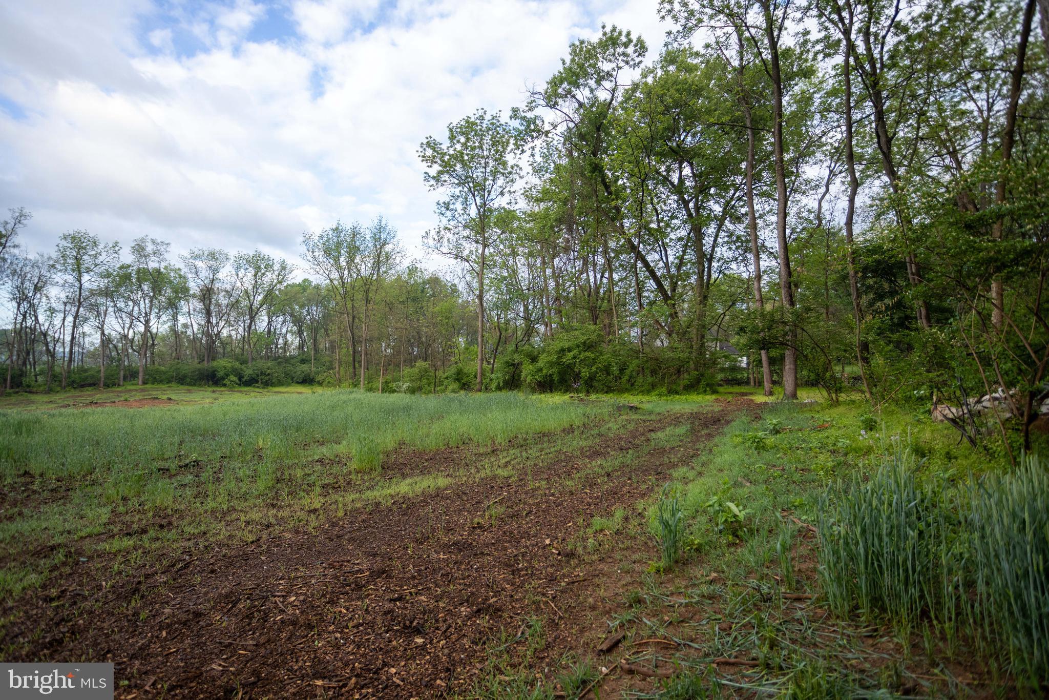 28 Richland Road Carlisle, PA 17015 - Photo 7 of 30 a view of outdoor space with green field and trees