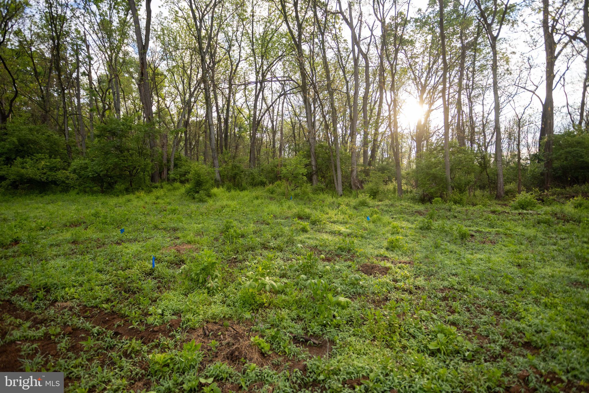 28 Richland Road Carlisle, PA 17015 - Photo 8 of 30 a view of outdoor space with green field and trees