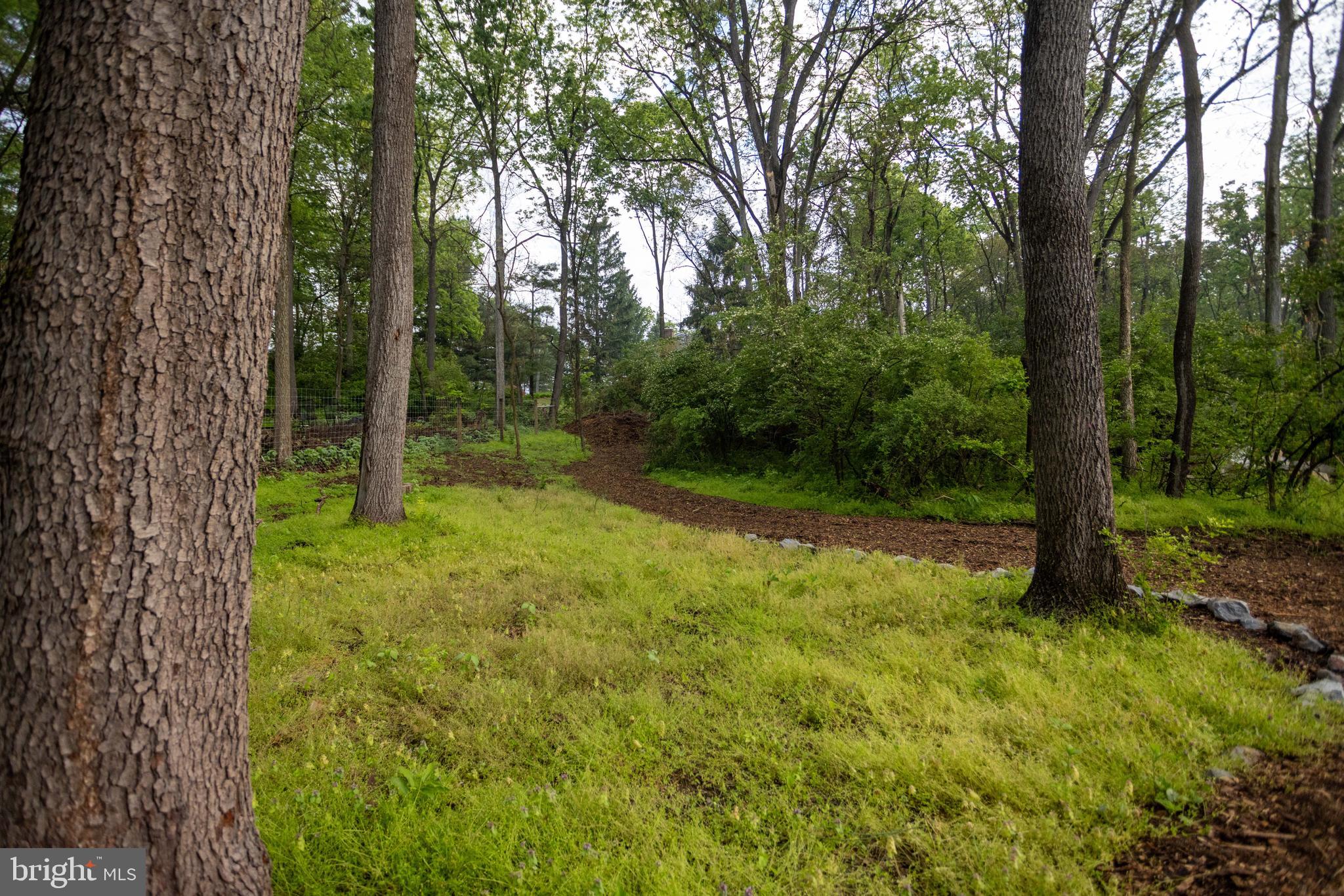 28 Richland Road Carlisle, PA 17015 - Photo 9 of 30 a view of an outdoor space and trees