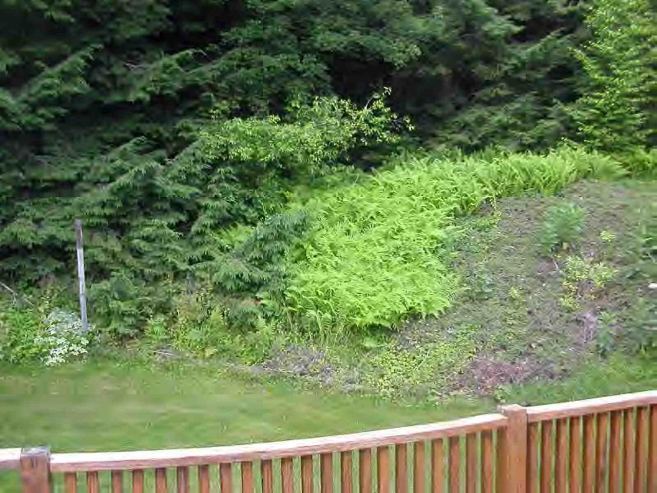 207 Partridge Road Pittsfield, MA 01201 - Photo 5 of 6 Additional Photo