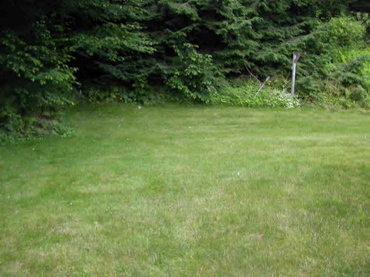 207 Partridge Road Pittsfield, MA 01201 - Photo 6 of 6 Additional Photo