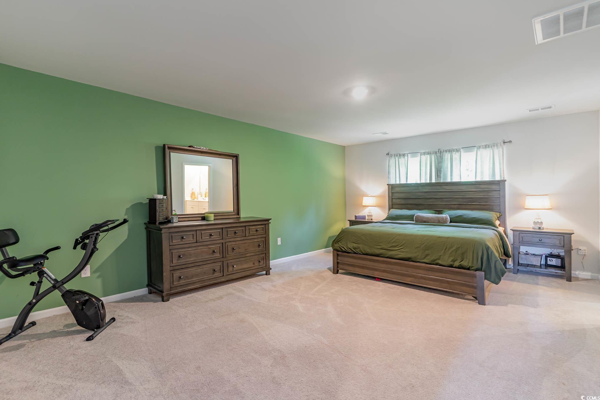 375 Fennec Loop Conway, SC 29526 - Photo 31 of 40 Gallery Image 31