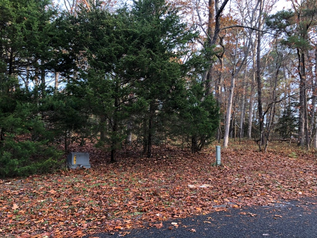 Lot 7 Lucas Trail, Unit 7 Machipongo, VA 23405 - Photo 5 of 11