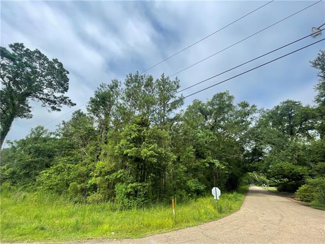 17040 East Charbonnet Road Ponchatoula, LA 70454 - Photo 5 of 5