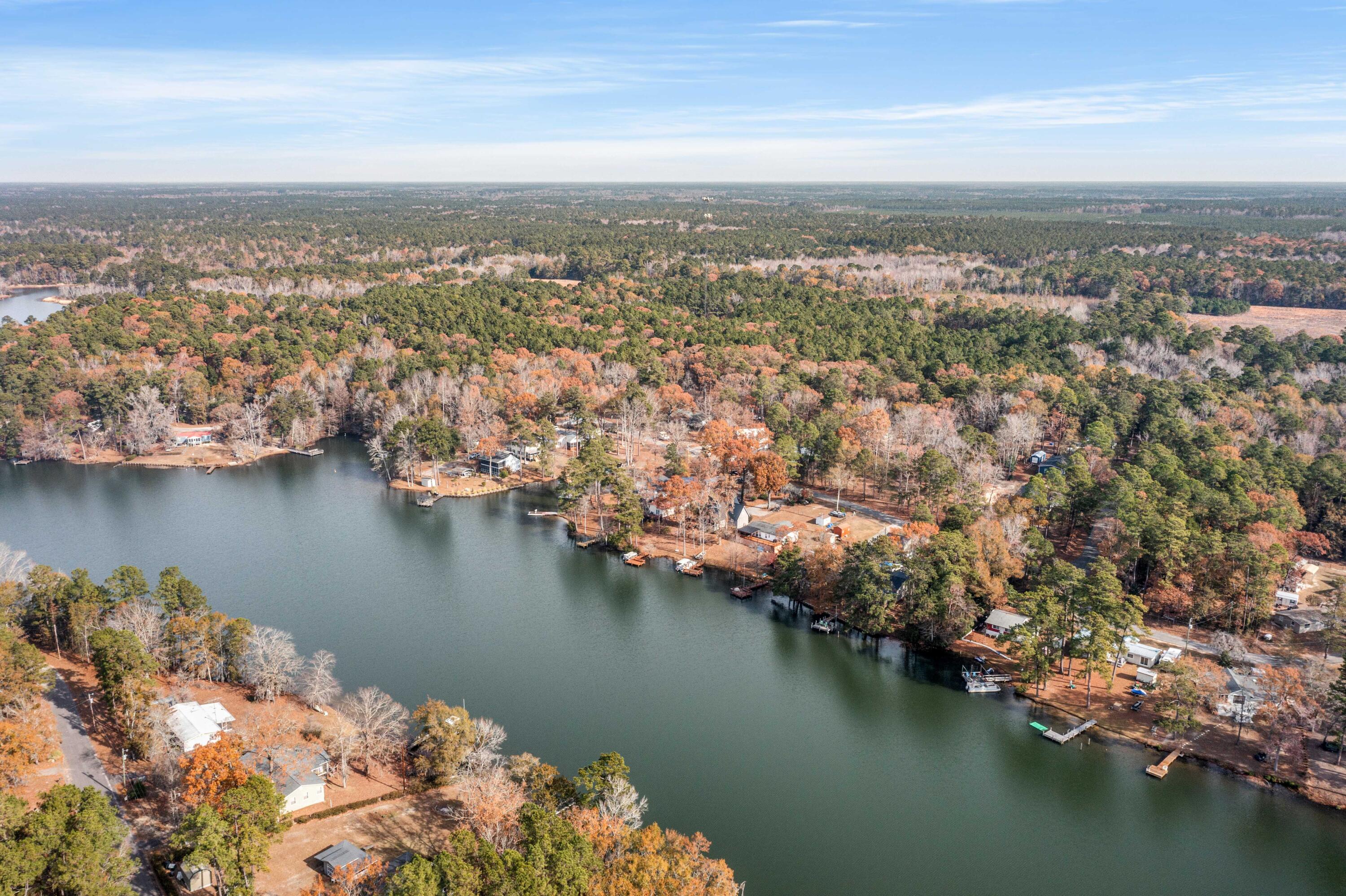 1435 Stukes Road Manning, SC 29102 - Photo 36 of 43 DJI_0037