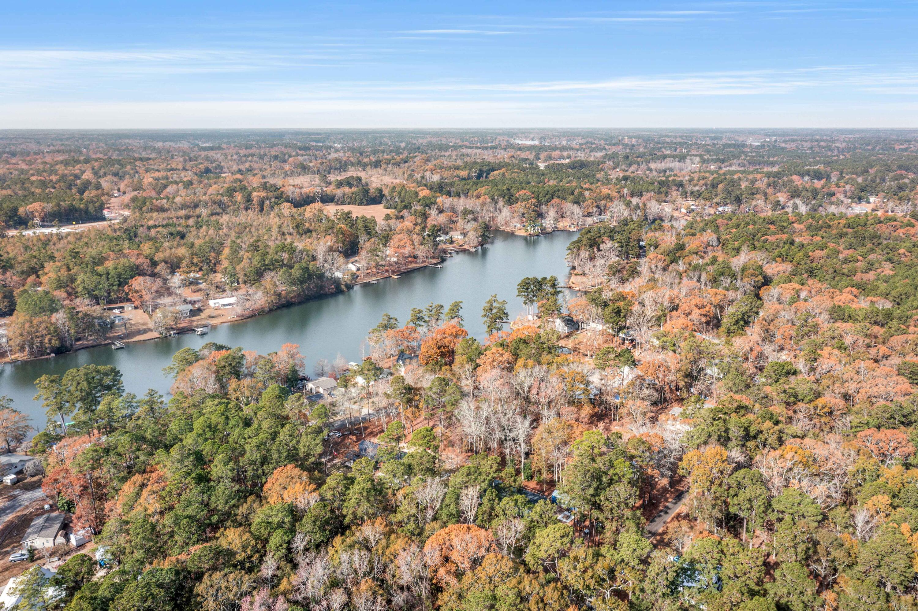 1435 Stukes Road Manning, SC 29102 - Photo 38 of 43 DJI_0039