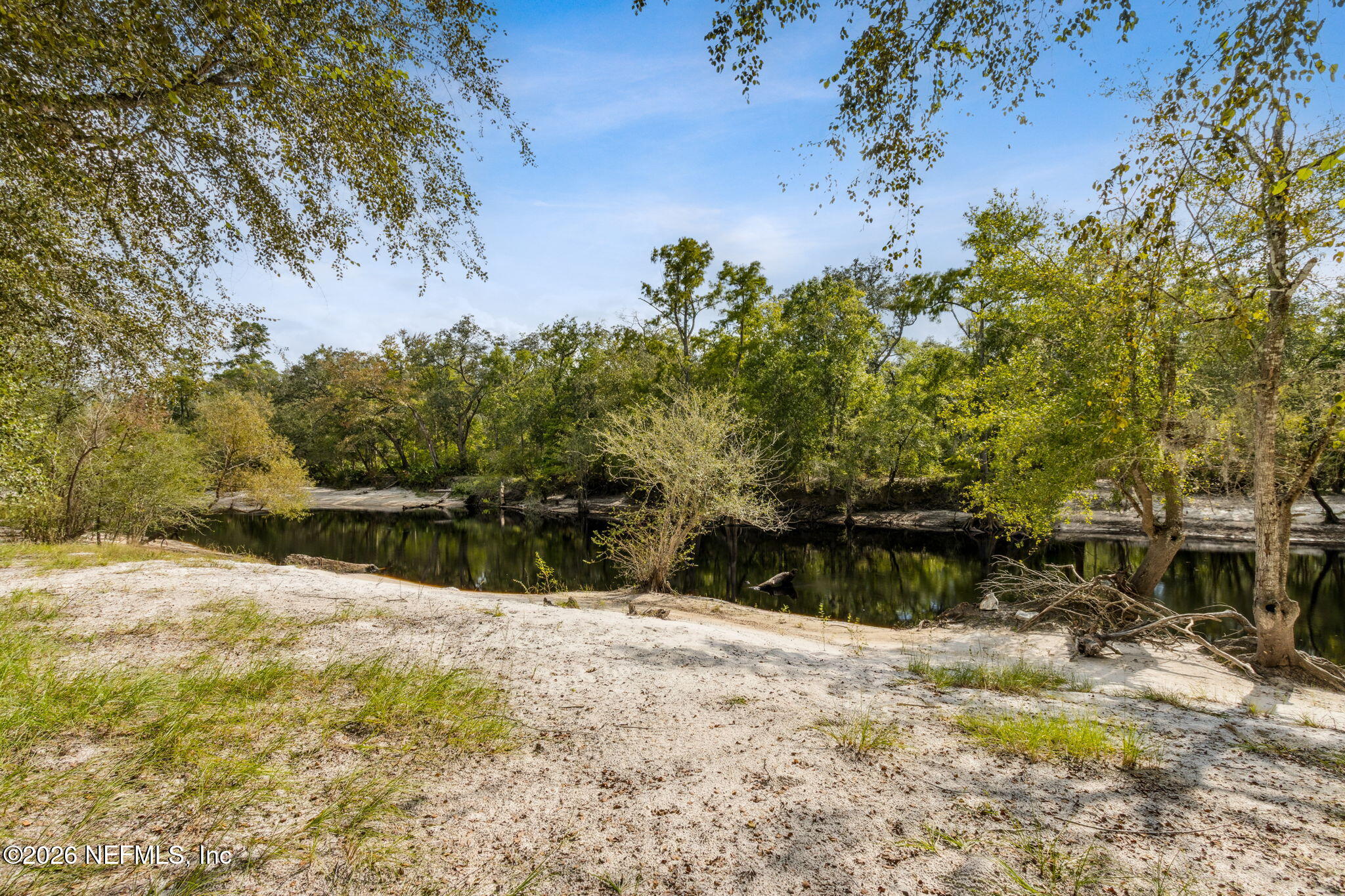 0 Tom Crawford Road Hilliard, FL 32046 - Photo 1 of 5 a view of a yard with a tree