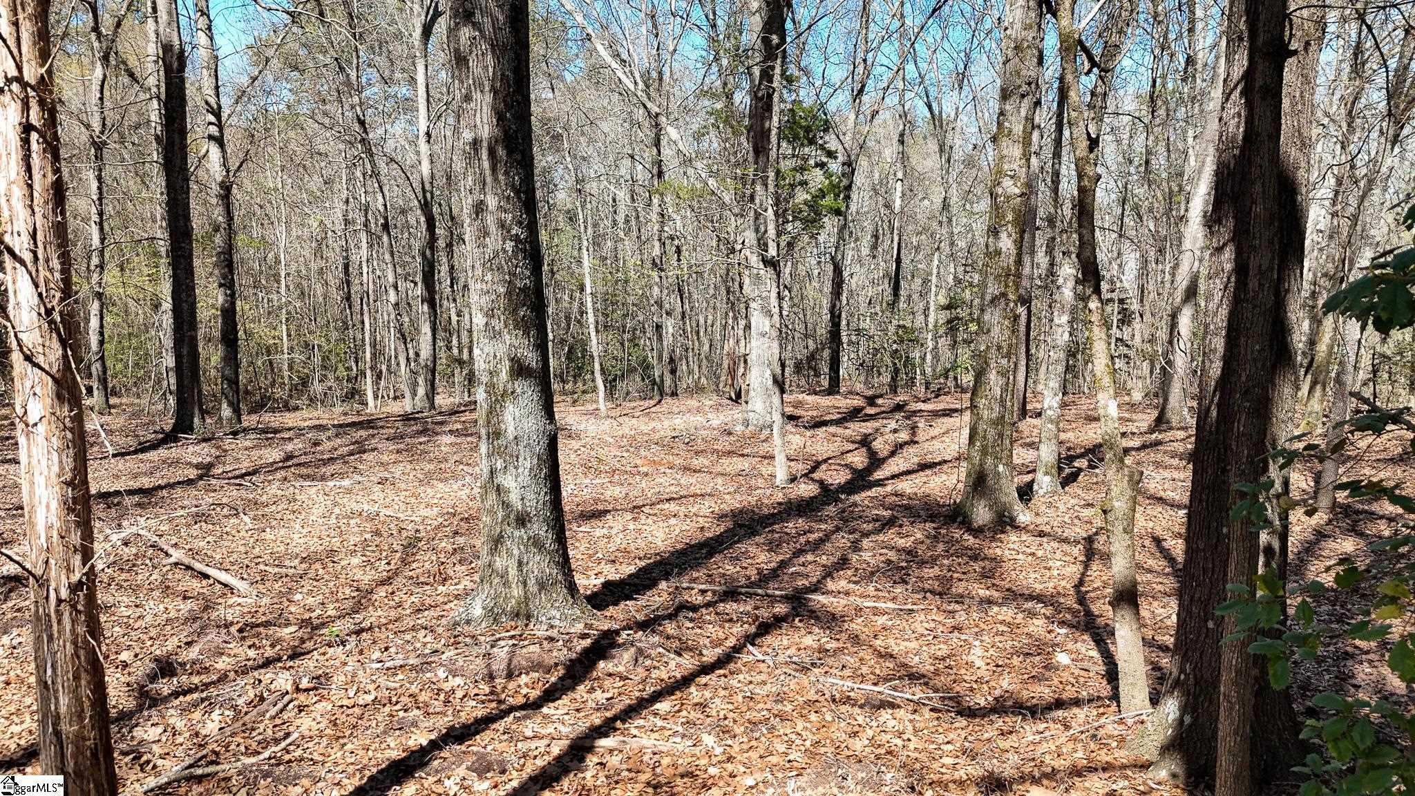 8 Guest Circle Anderson, SC 29621 - Photo 11 of 19