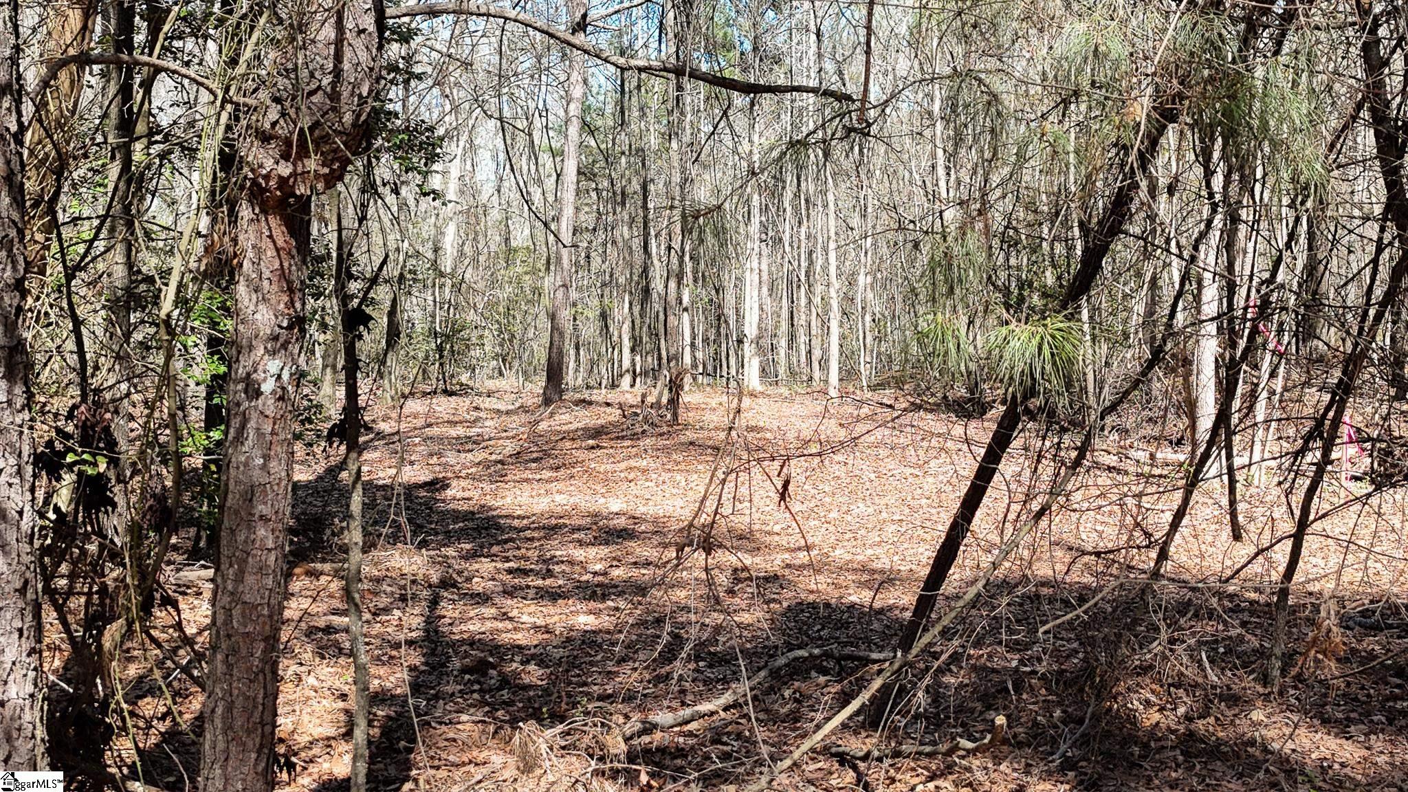 8 Guest Circle Anderson, SC 29621 - Photo 12 of 19