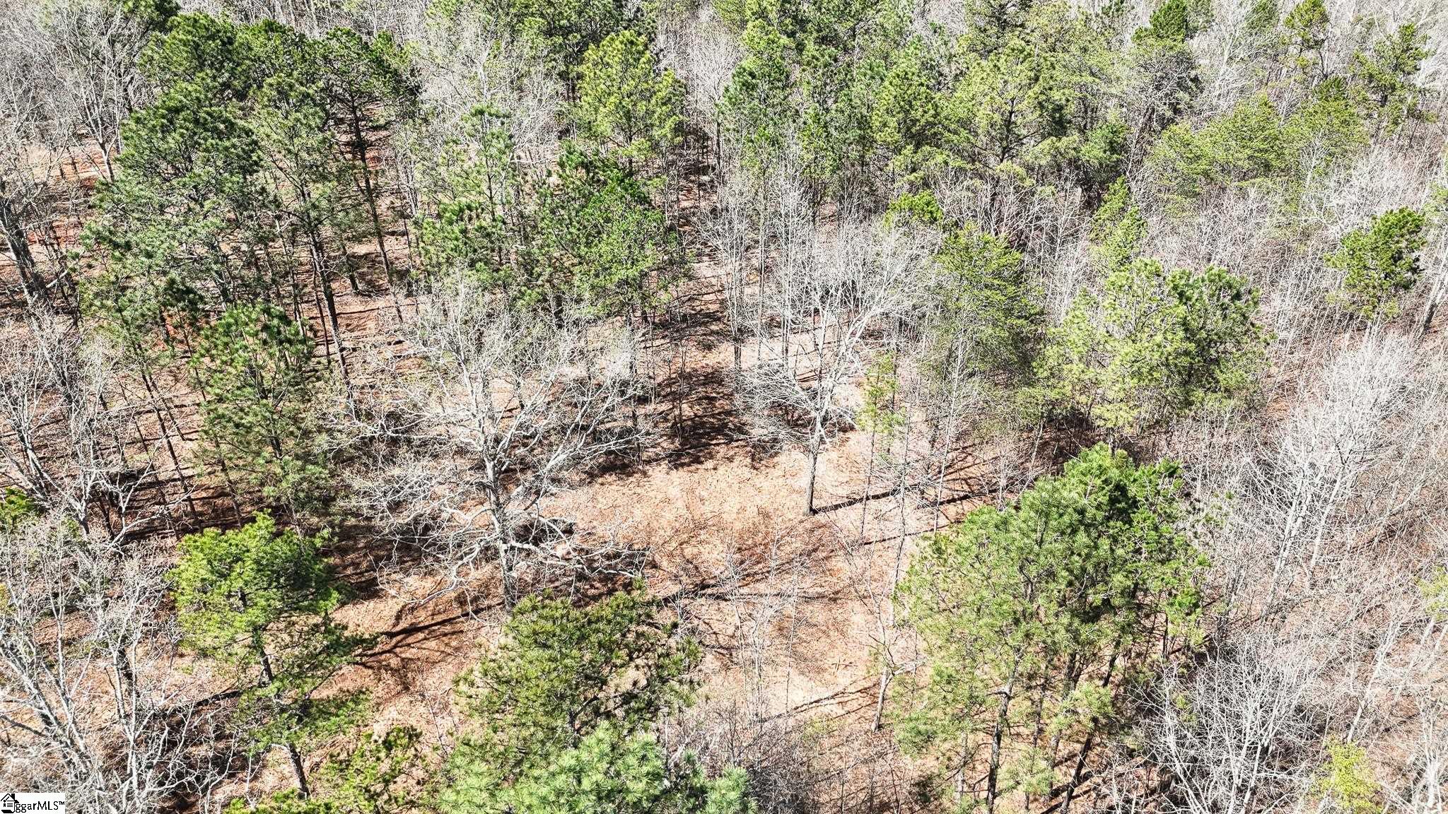 8 Guest Circle Anderson, SC 29621 - Photo 18 of 19