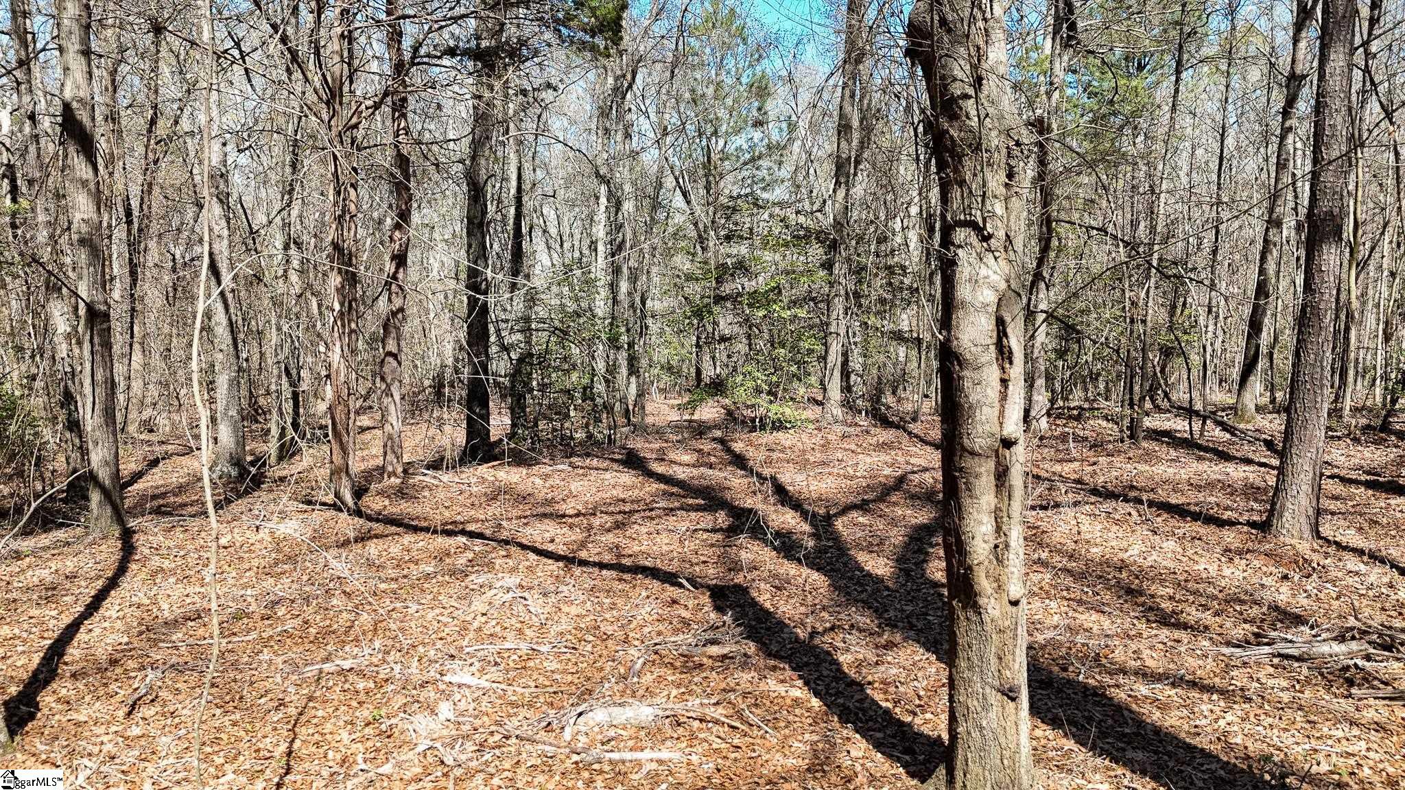 8 Guest Circle Anderson, SC 29621 - Photo 3 of 19