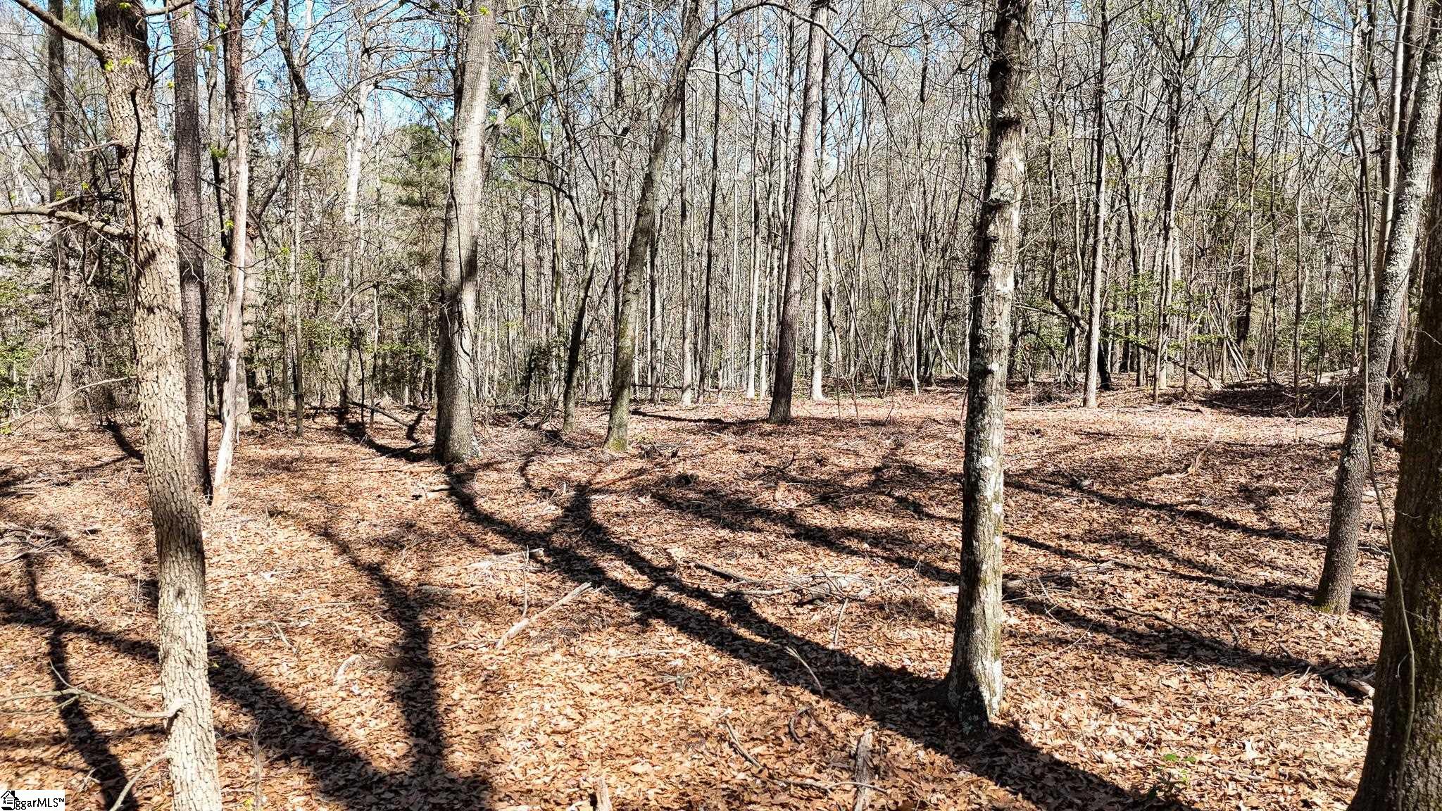 8 Guest Circle Anderson, SC 29621 - Photo 7 of 19