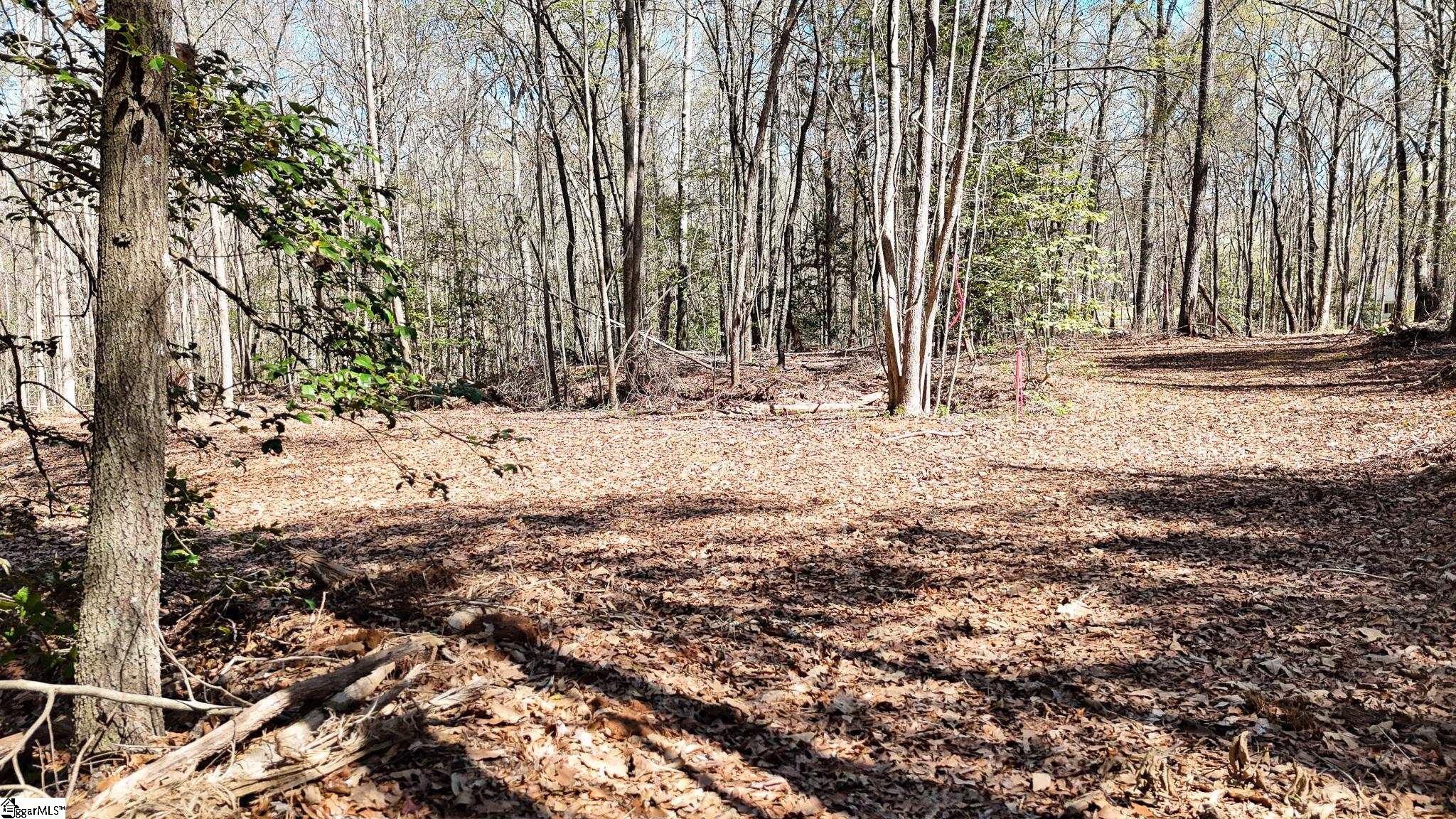 8 Guest Circle Anderson, SC 29621 - Photo 8 of 19