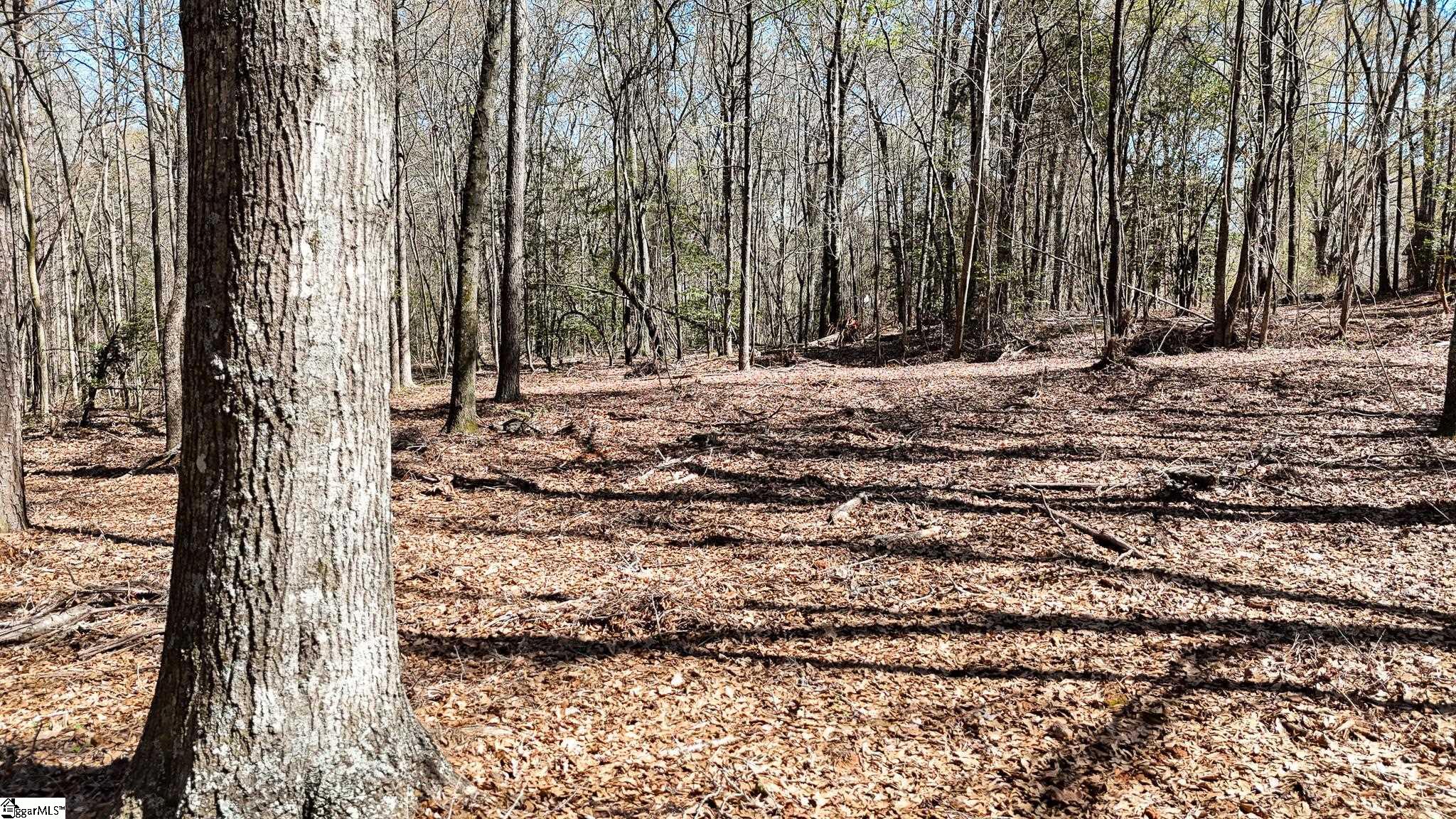 8 Guest Circle Anderson, SC 29621 - Photo 9 of 19