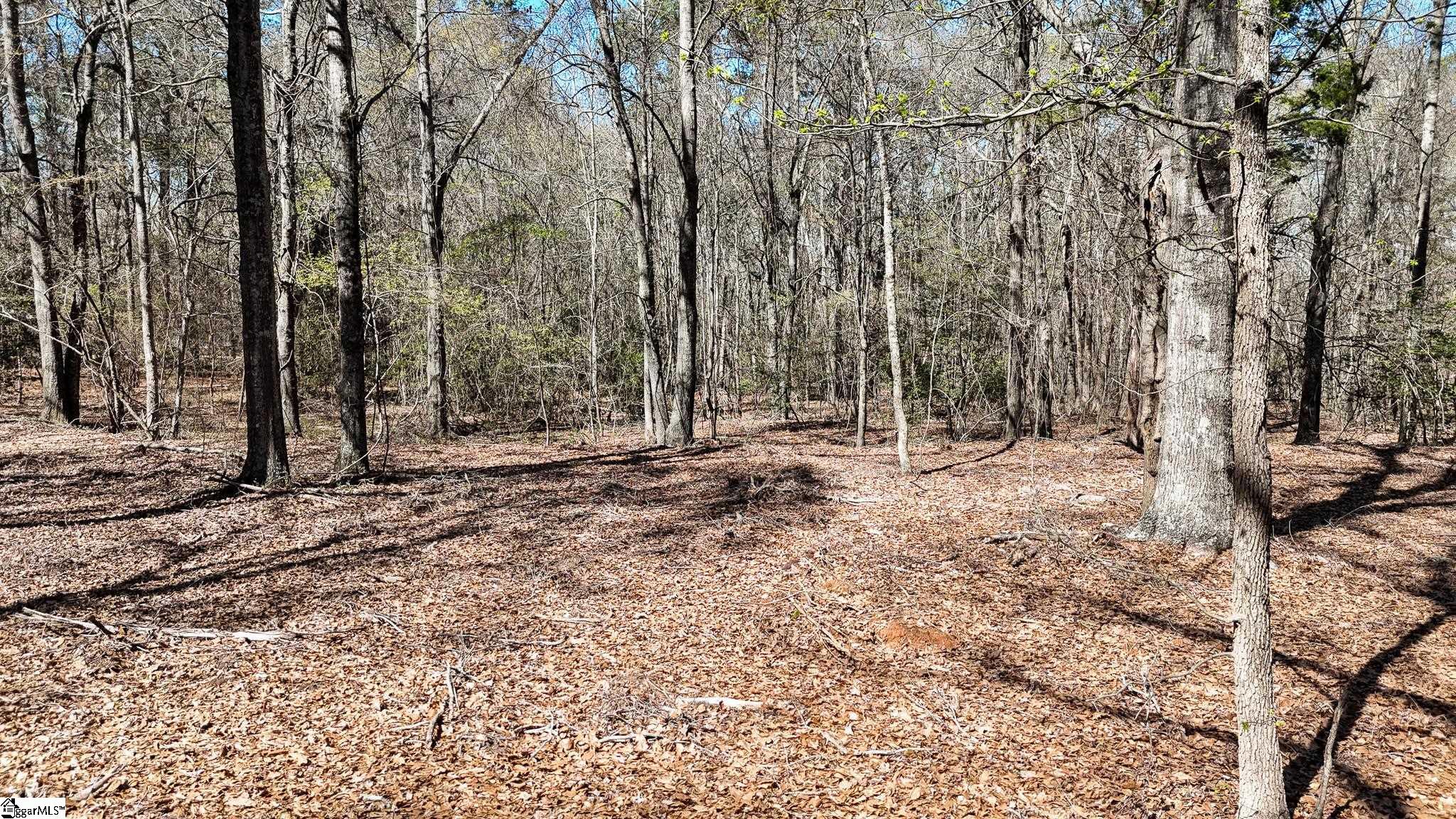 8 Guest Circle Anderson, SC 29621 - Photo 10 of 19