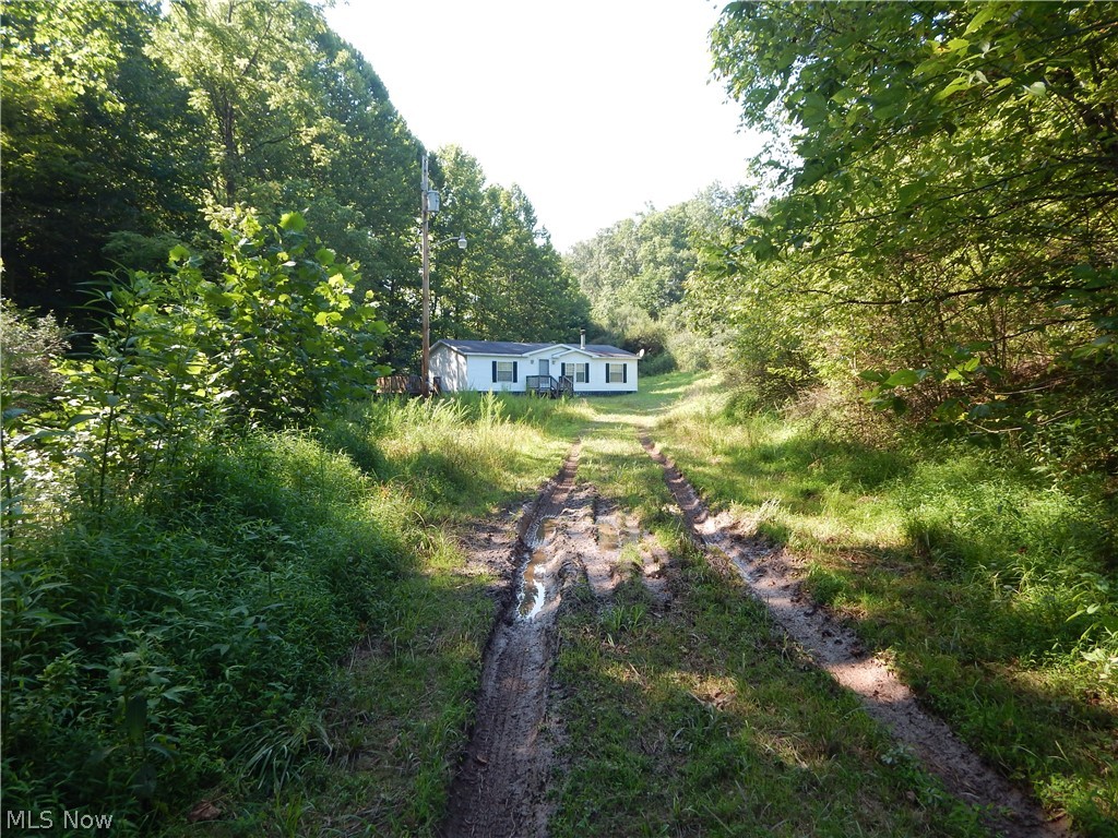 248 Rolling River Road Cairo, WV 26337 - Photo 3 of 25