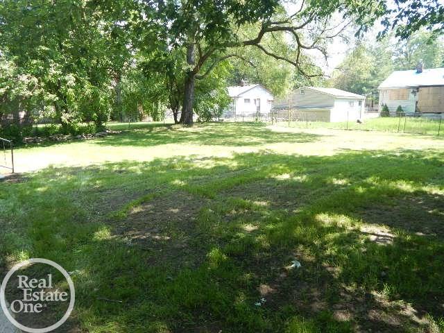 21086 Doepfer Road Warren, MI 48091 - Photo 20 of 23 31322596-19.JPG
