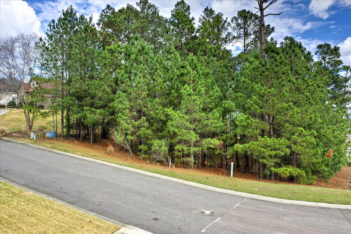 185 Foxhound Run Road Aiken, SC 29803 - Photo 5 of 21 Gallery Image 5