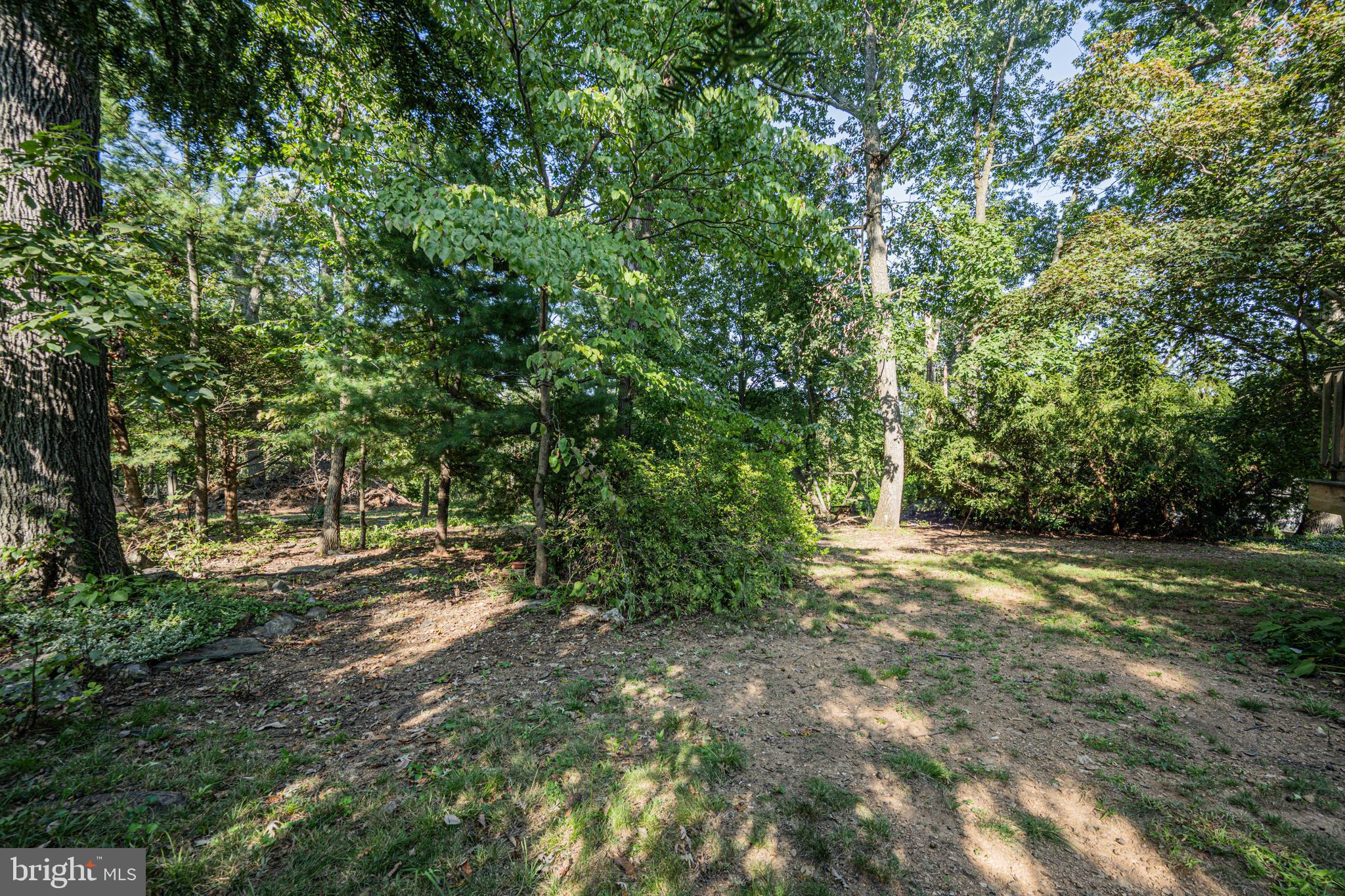 2902 Timber Ridge Drive Mount Airy, MD 21771 - Photo 31 of 40