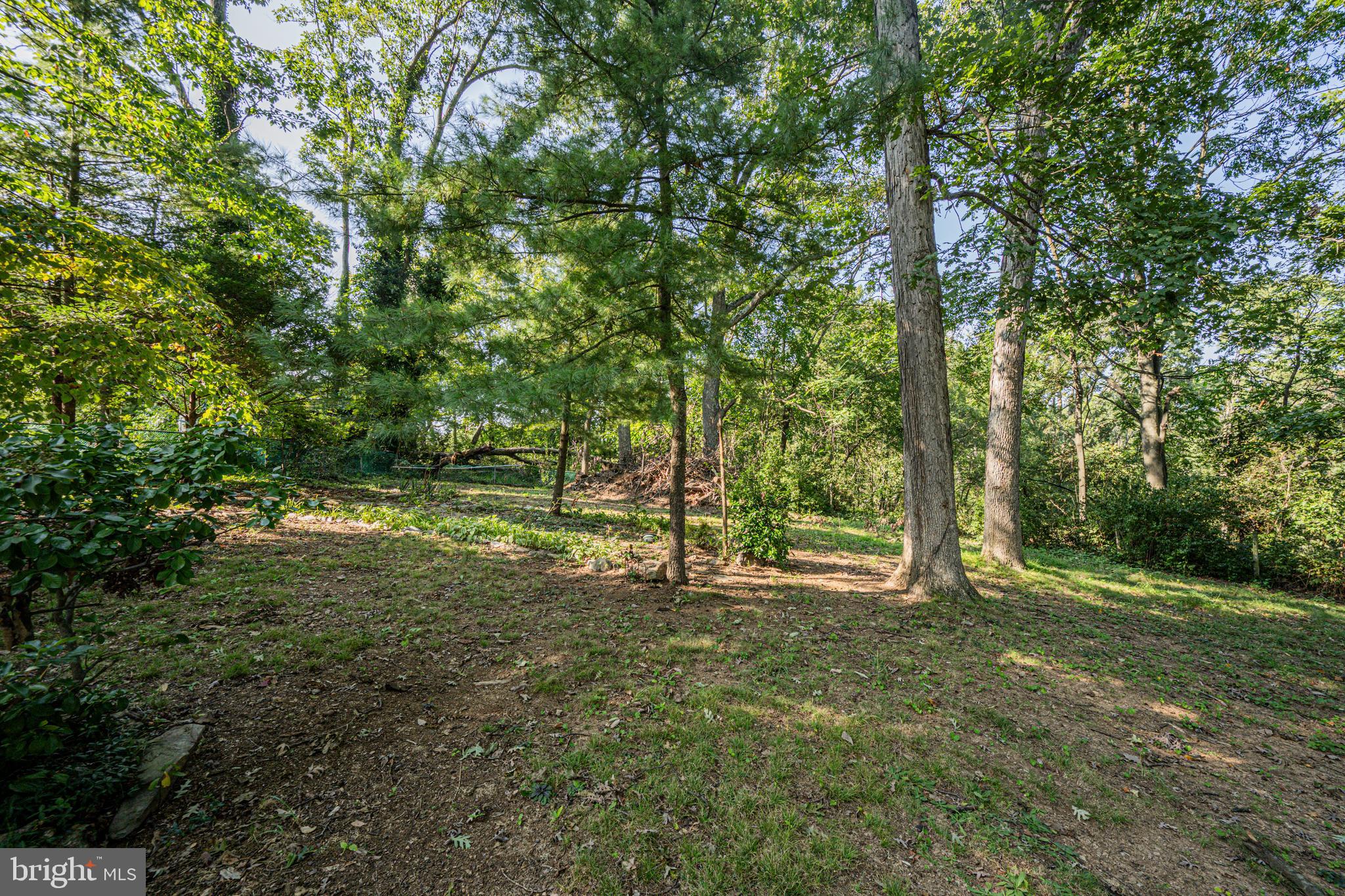 2902 Timber Ridge Drive Mount Airy, MD 21771 - Photo 33 of 40