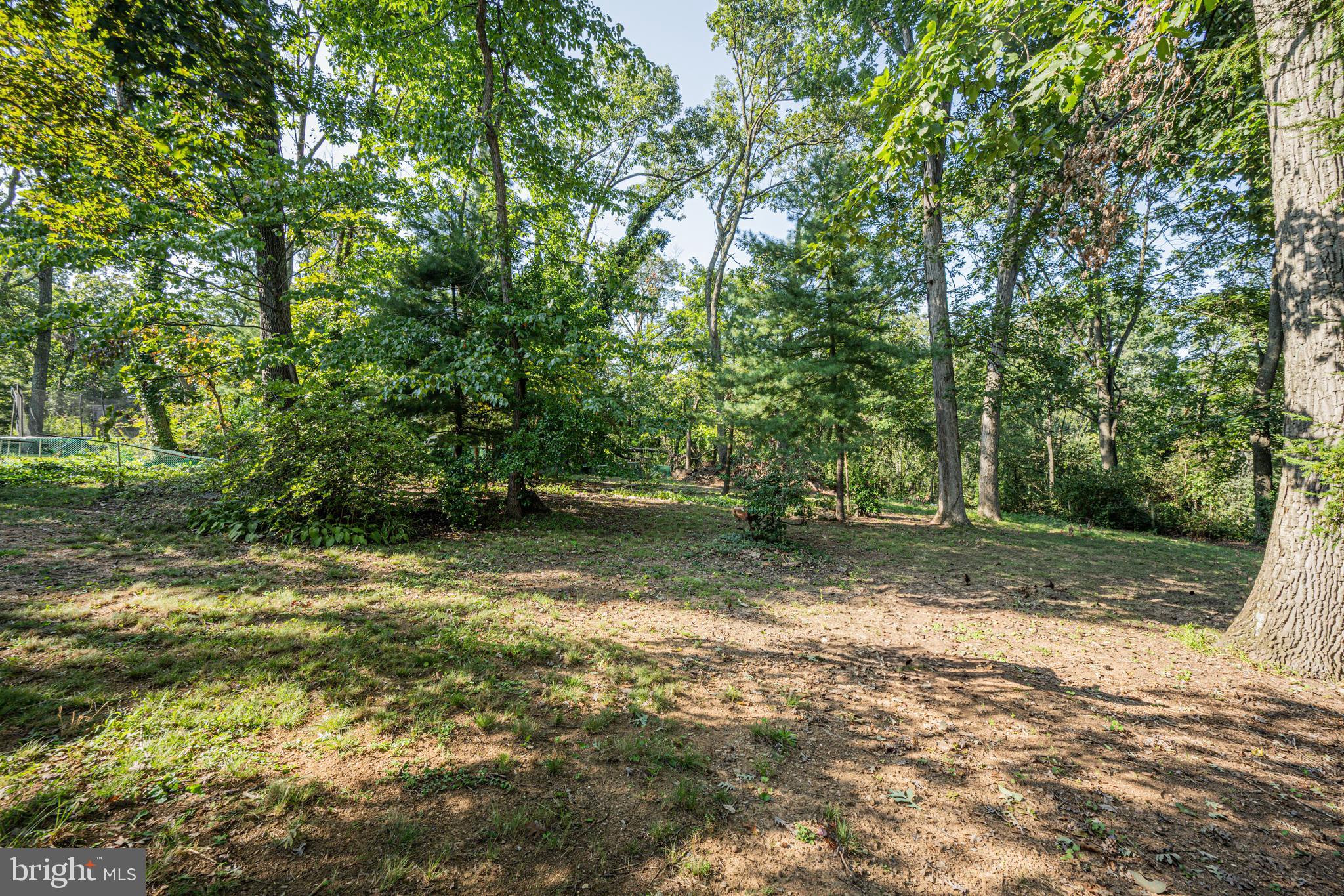 2902 Timber Ridge Drive Mount Airy, MD 21771 - Photo 34 of 40