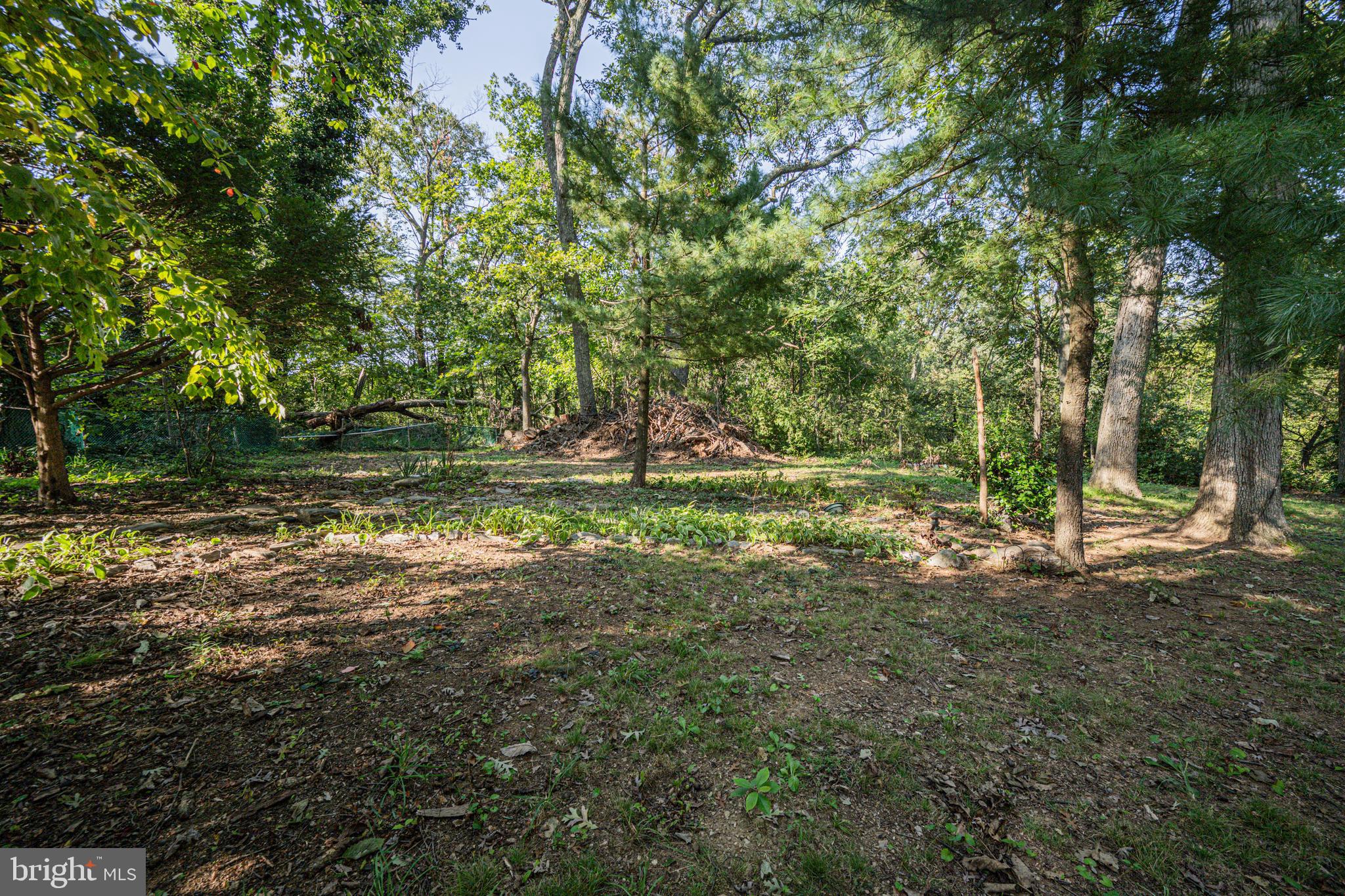 2902 Timber Ridge Drive Mount Airy, MD 21771 - Photo 36 of 40