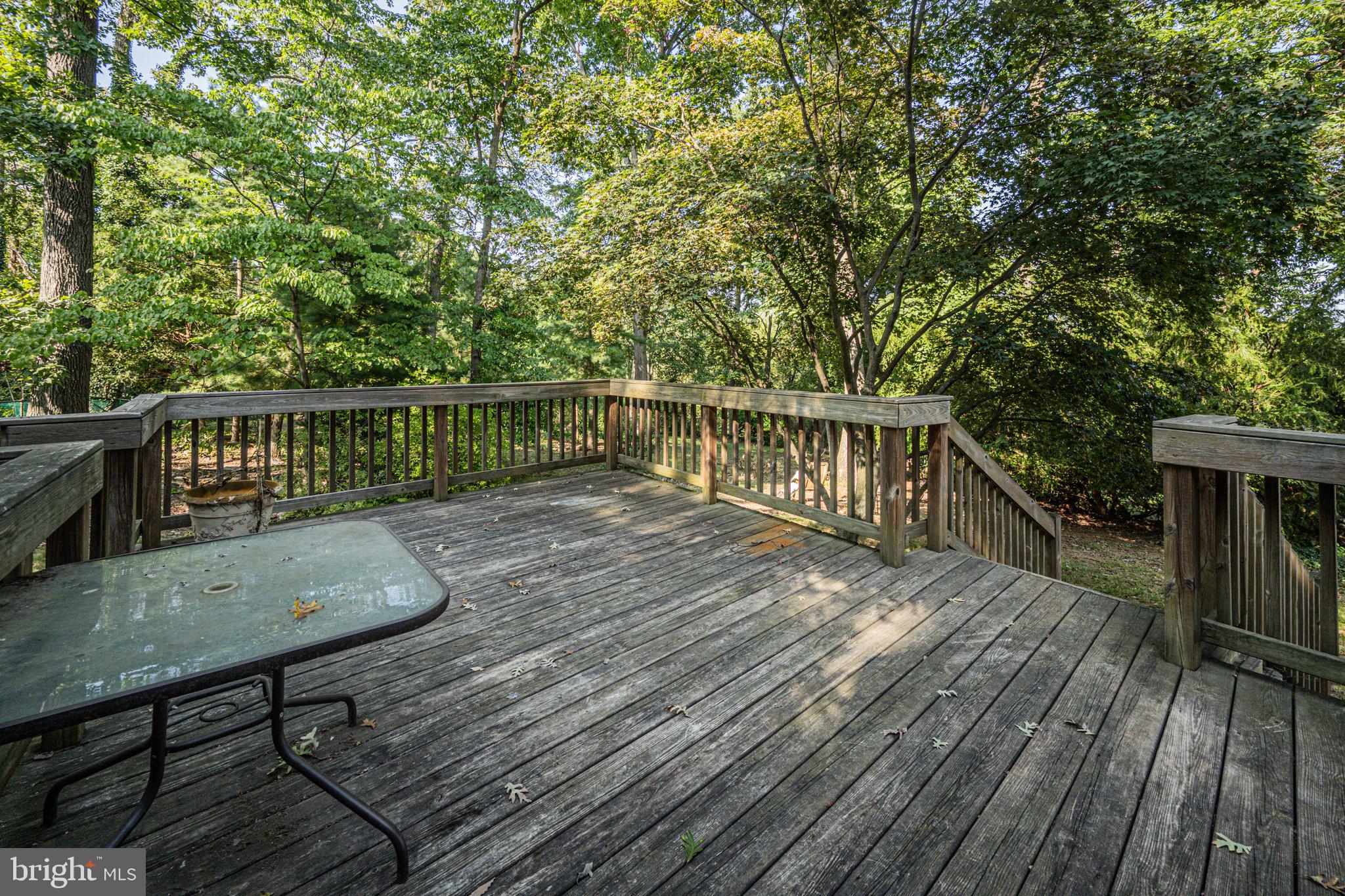 2902 Timber Ridge Drive Mount Airy, MD 21771 - Photo 38 of 40