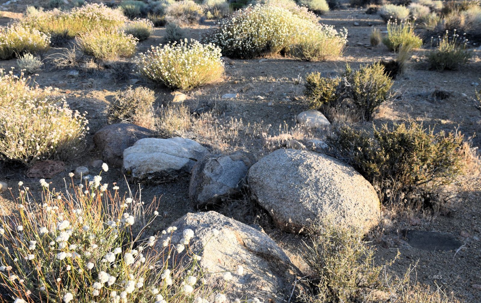 Paradise Point Bishop, CA 93514 - Photo 5 of 8 a view of outside space and yard