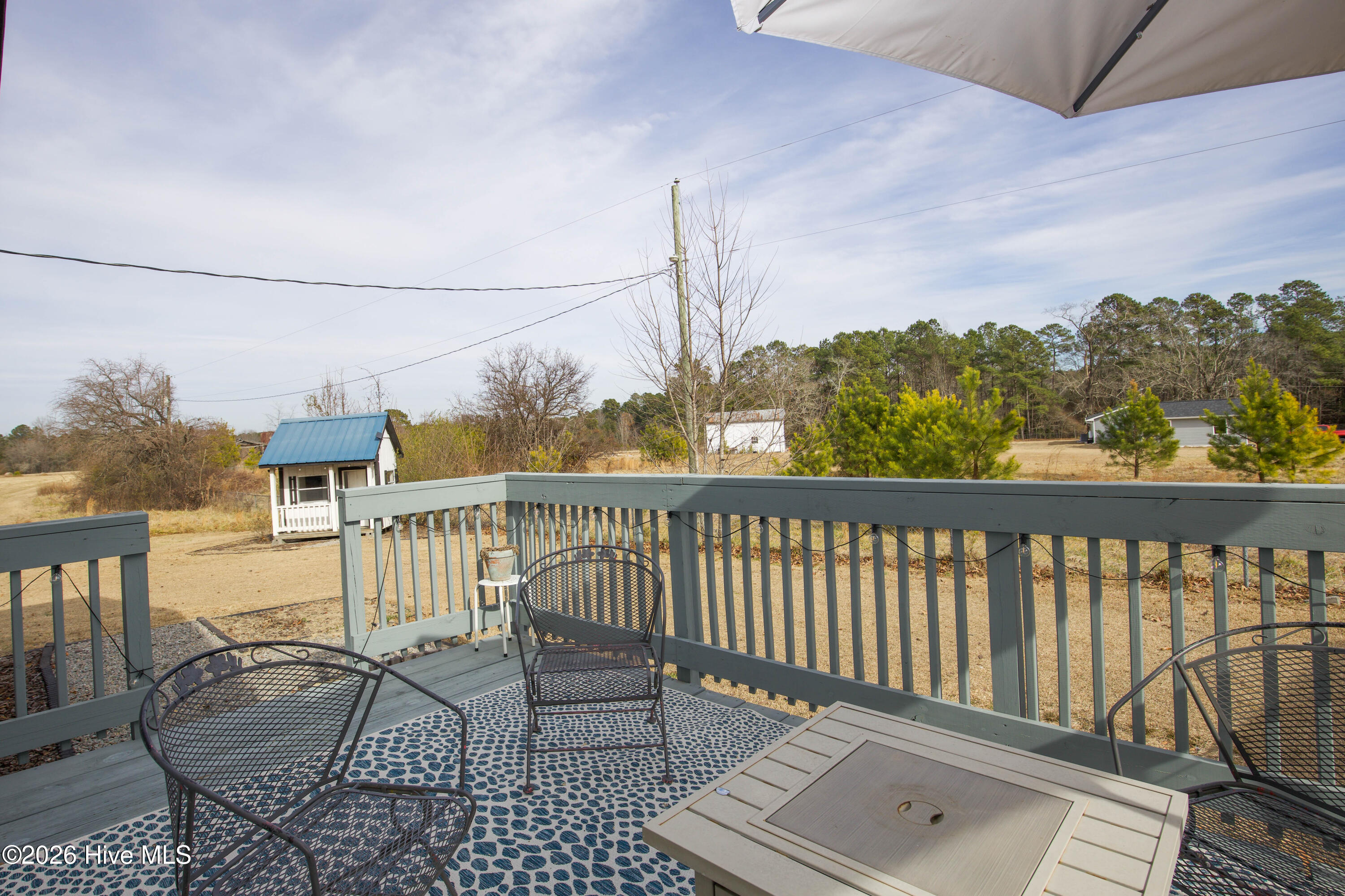 3344 Cypress Church Road Cameron, NC 28326 - Photo 40 of 50 Side Deck