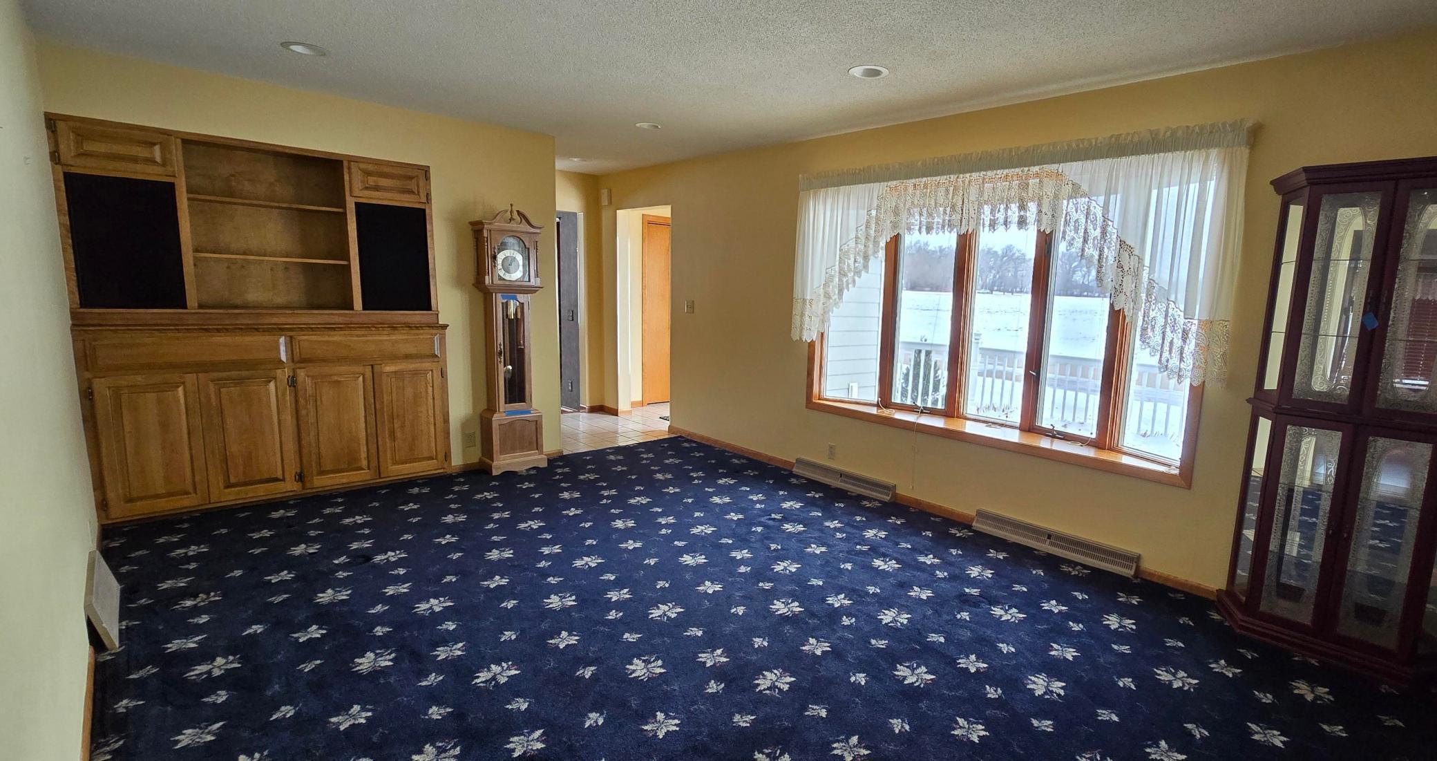 313 3rd Avenue North Emmons, MN 56029 - Photo 13 of 38