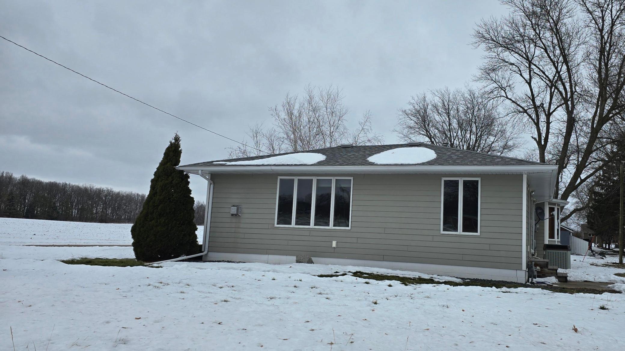 313 3rd Avenue North Emmons, MN 56029 - Photo 2 of 38