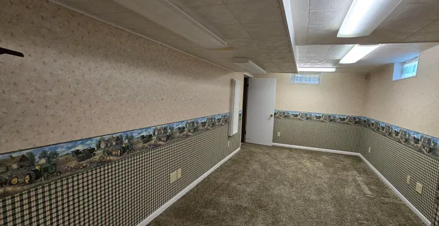 $249,000 | 313 3rd Avenue North, Emmons, MN 56029