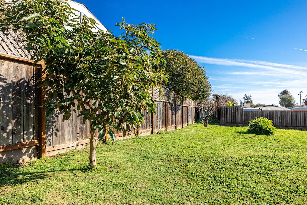 0 Roland Santa Cruz, CA 95062 - Photo 12 of 14 a backyard of a house with lots of green space