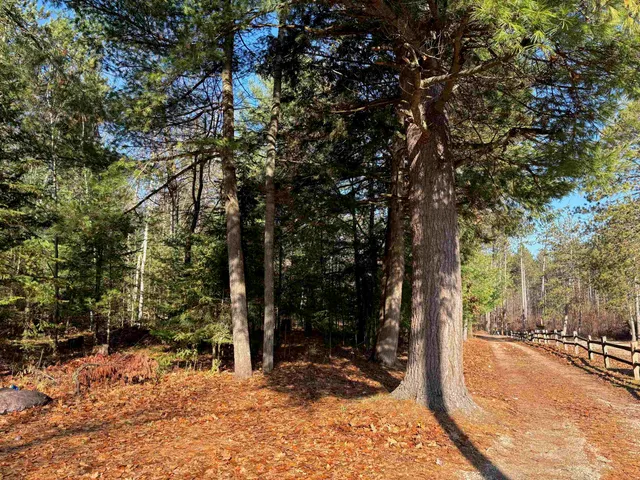 $489,900 | 13763 Lake Shore Lane, Mountain, WI 54149