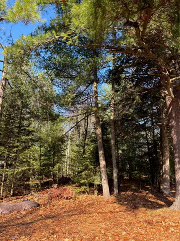 $489,900 | 13763 Lake Shore Lane, Mountain, WI 54149