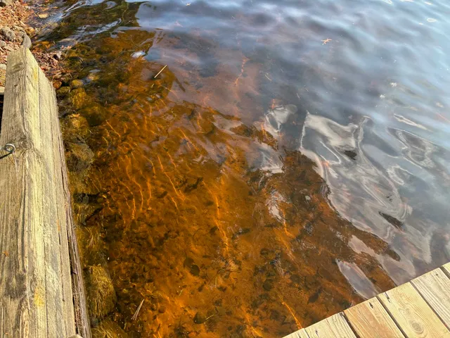 $489,900 | 13763 Lake Shore Lane, Mountain, WI 54149