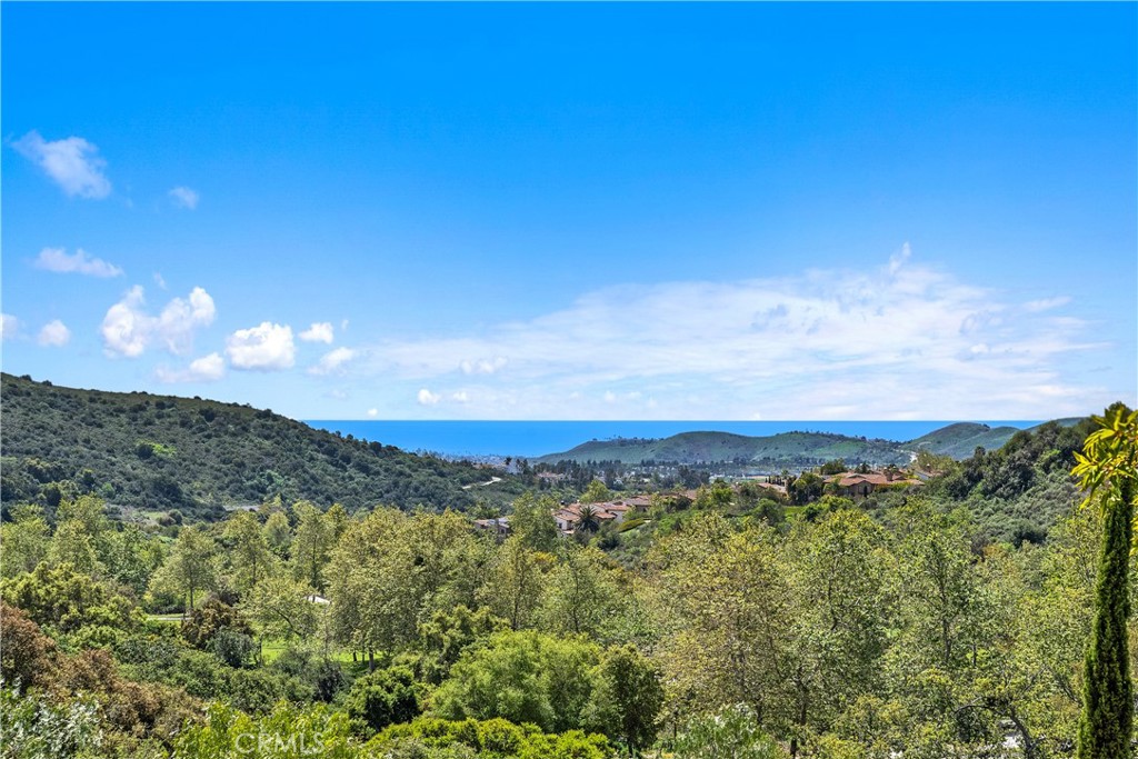 12 Via Timon San Clemente, CA 92673 - Photo 33 of 43